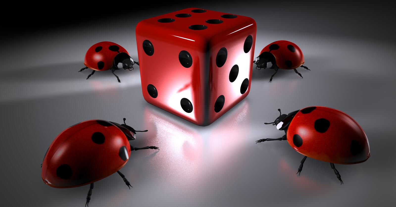 Wallpapers ladybug beetle dice on the desktop