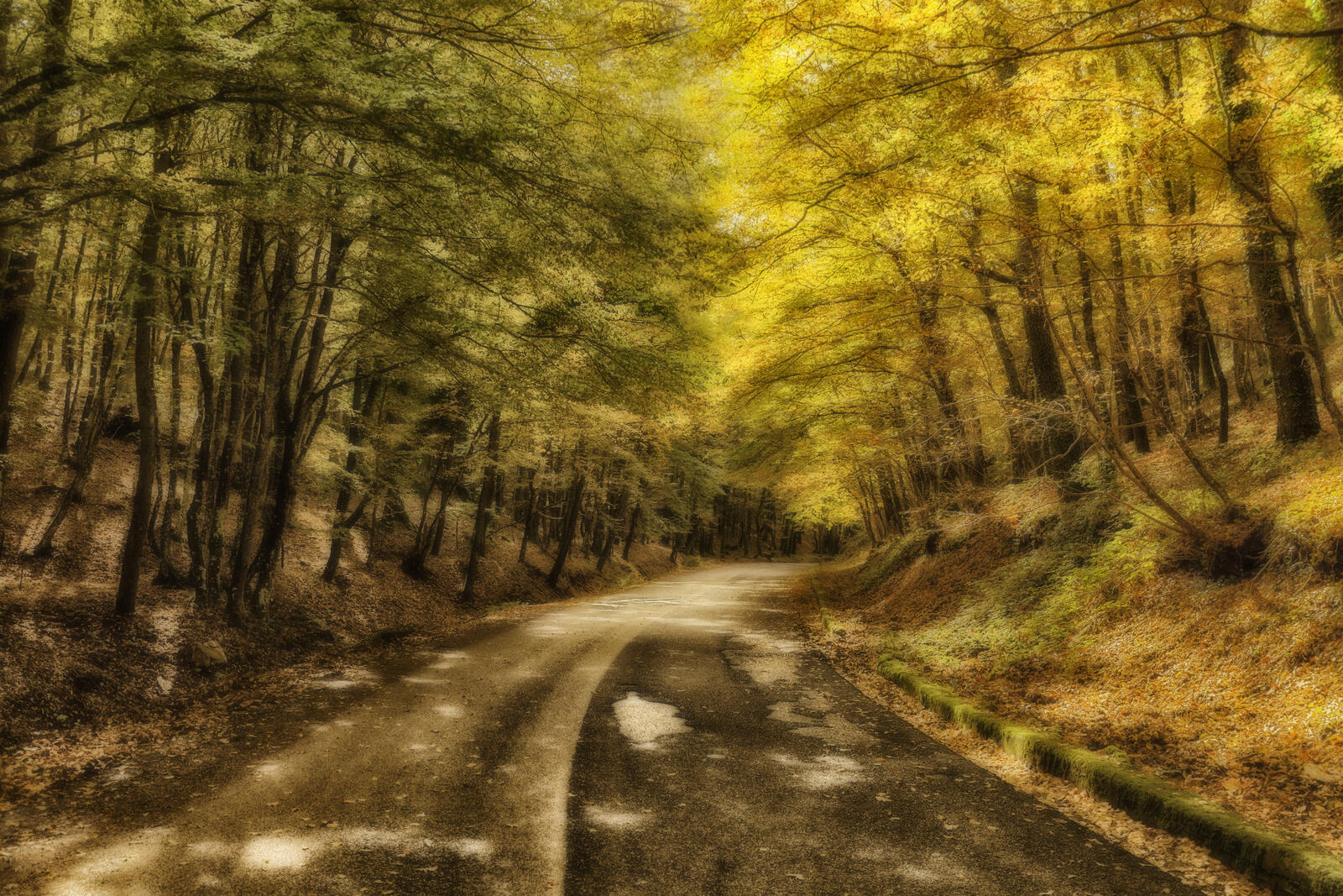 Wallpapers road autumn colors trees on the desktop