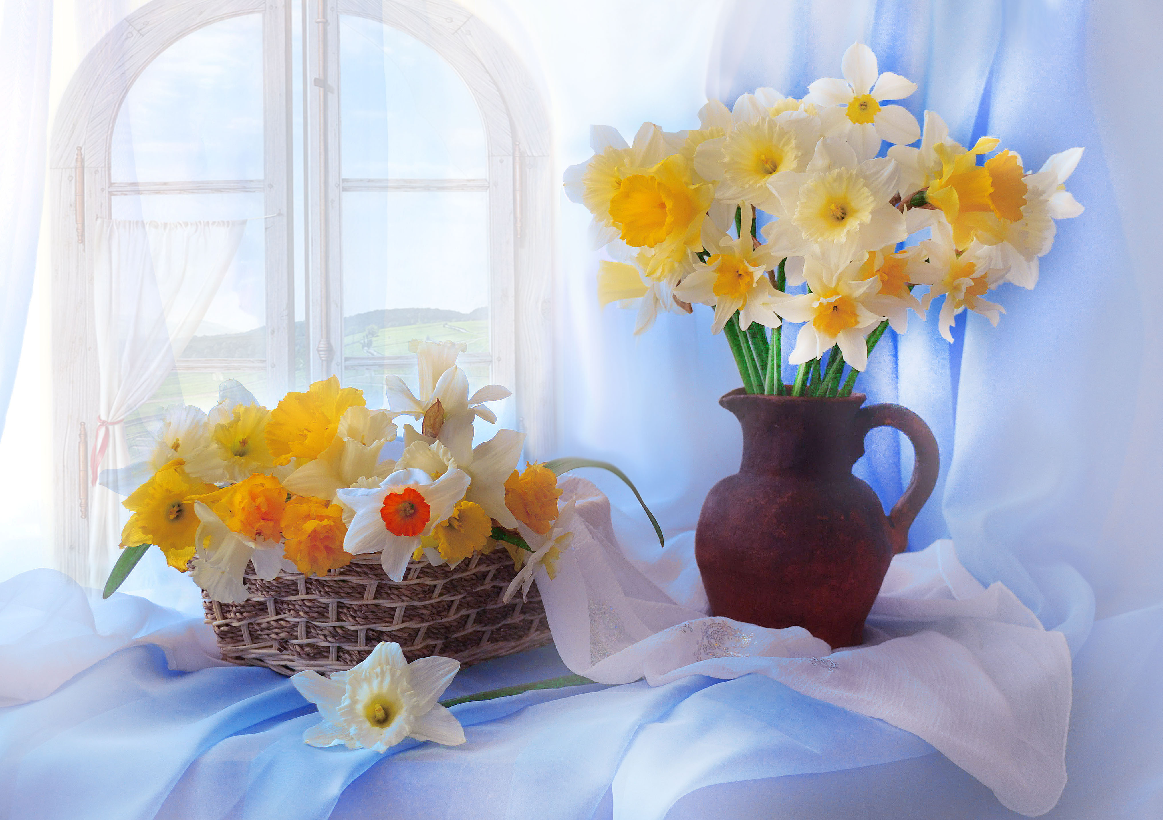 Wallpapers still life daffodils background on the desktop