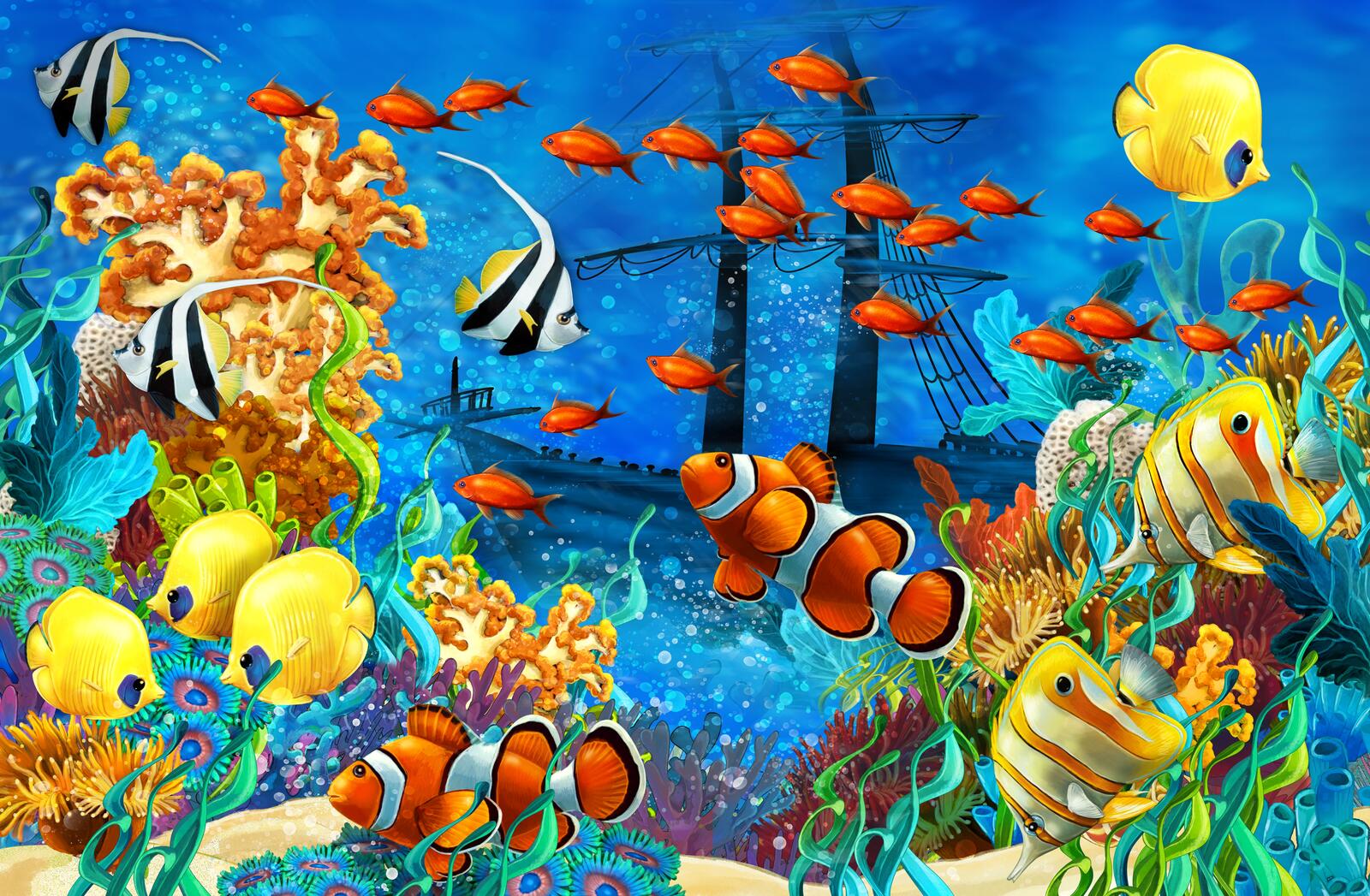 Wallpapers fish a sunken ship reefs on the desktop