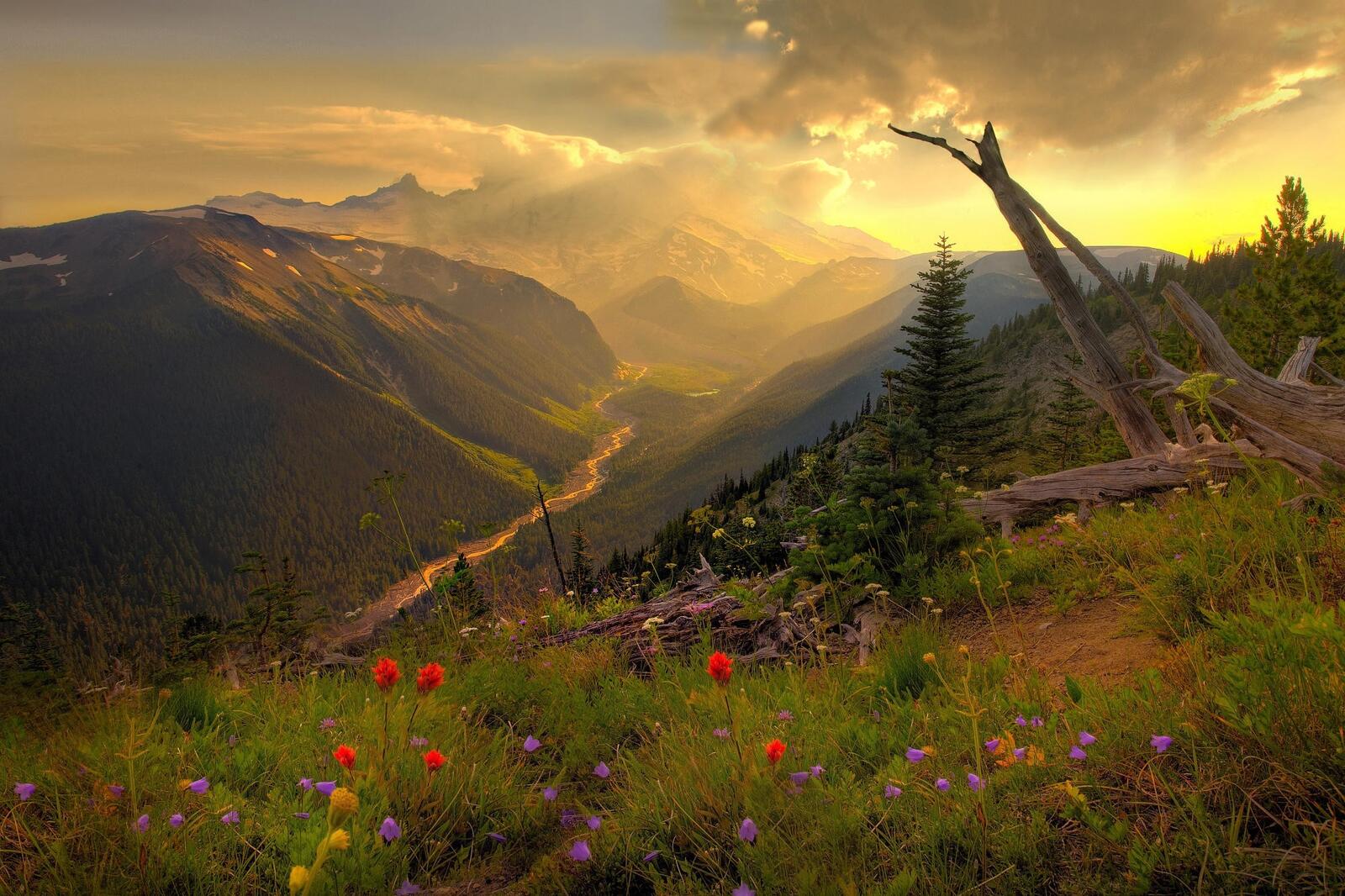 Wallpapers sunset mountains Alpine meadows on the desktop