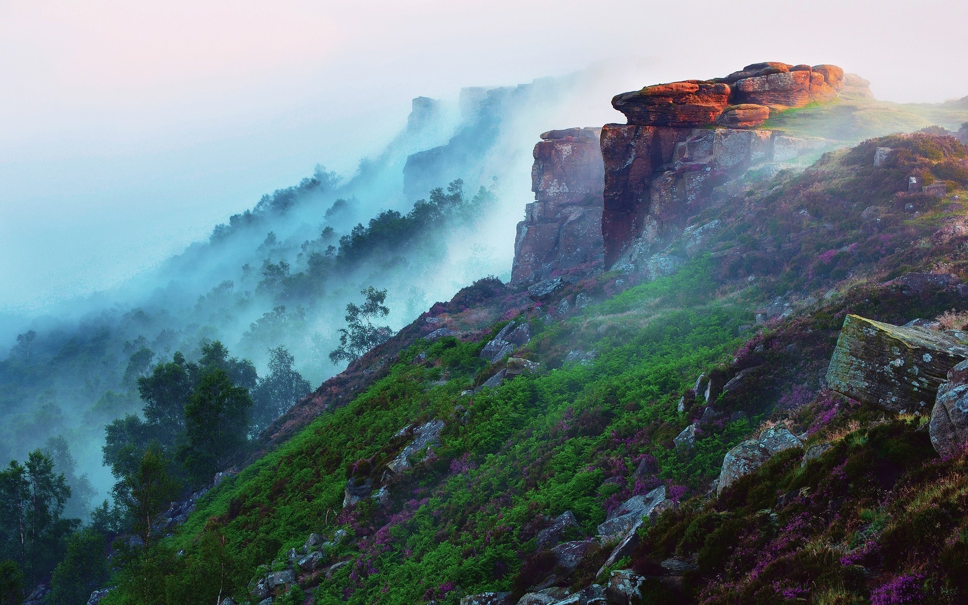 Wallpapers landscapes forests mist on the desktop
