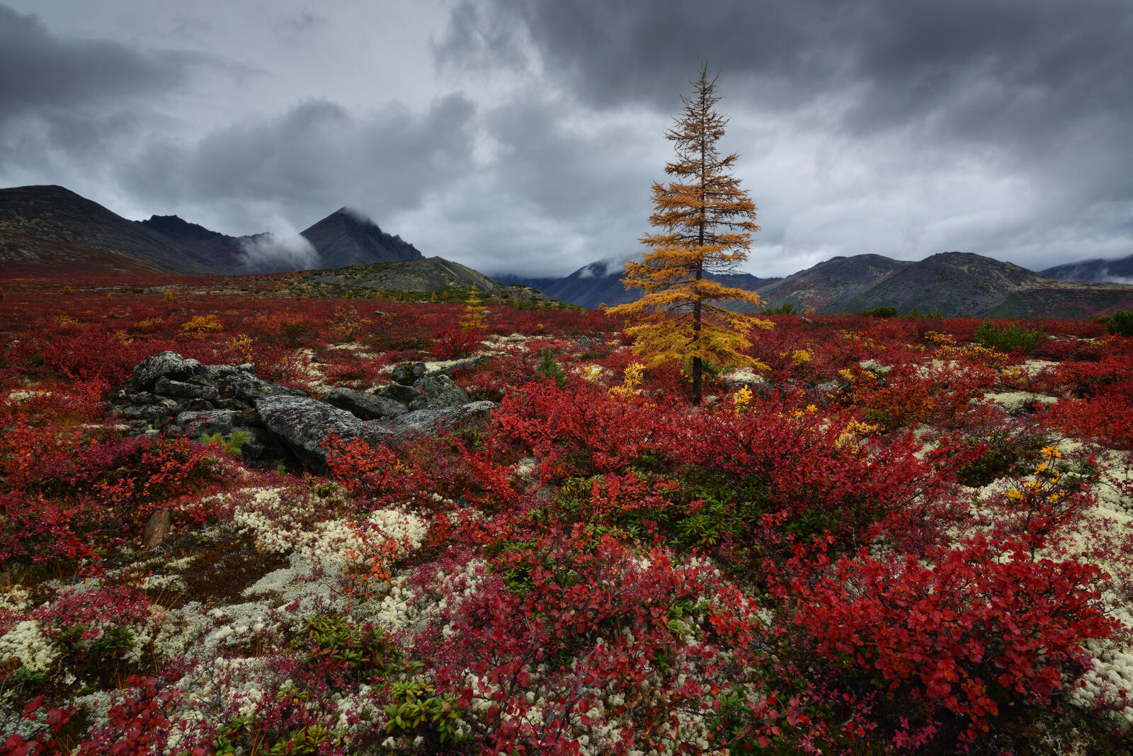 Free photo Magadan autumn