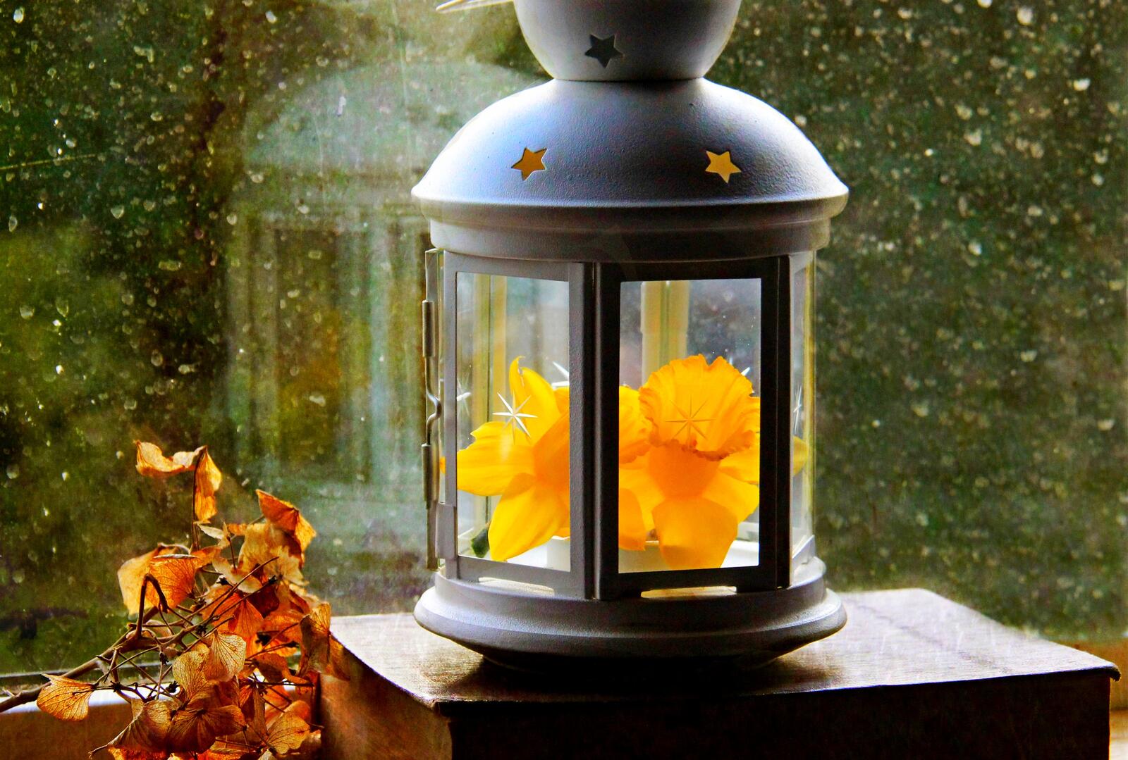 Free photo Antique lantern with autumn leaves