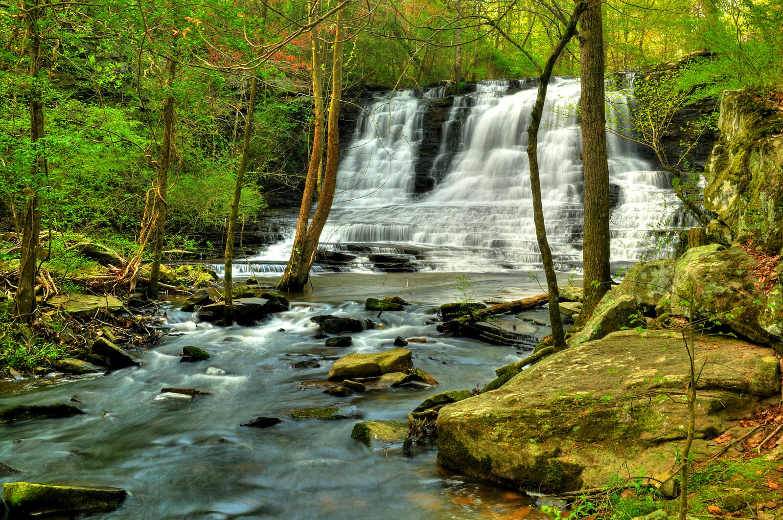Wallpapers forest waterfall rapids current on the desktop