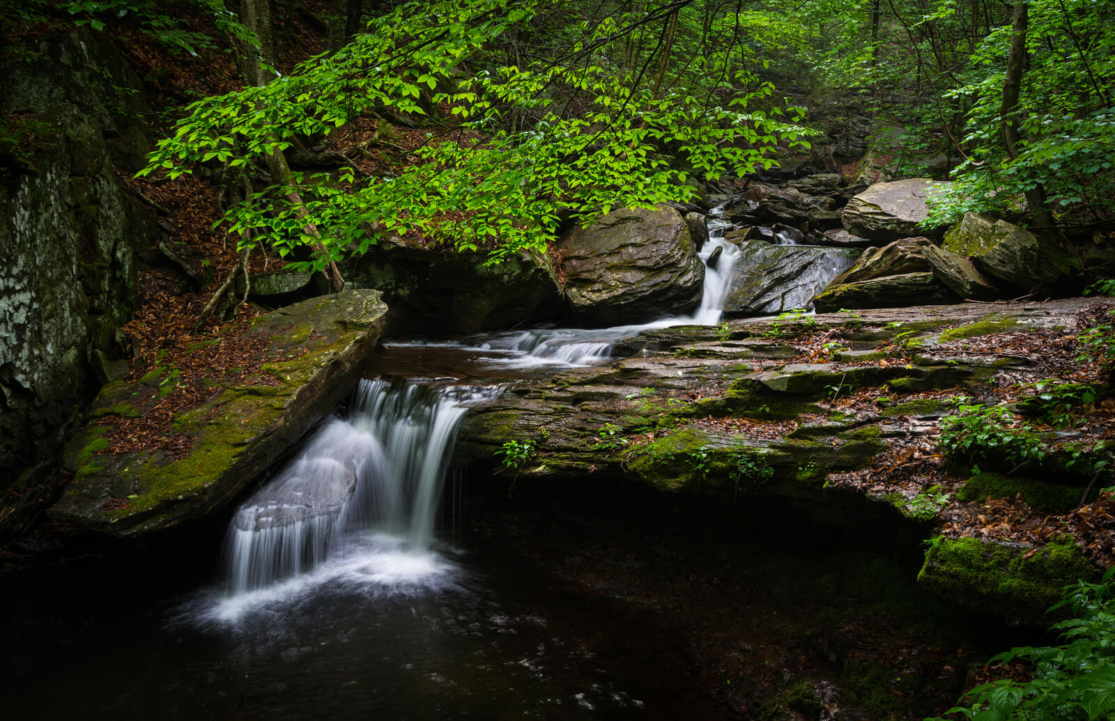 免费照片宾夕法尼亚州的一个州立公园