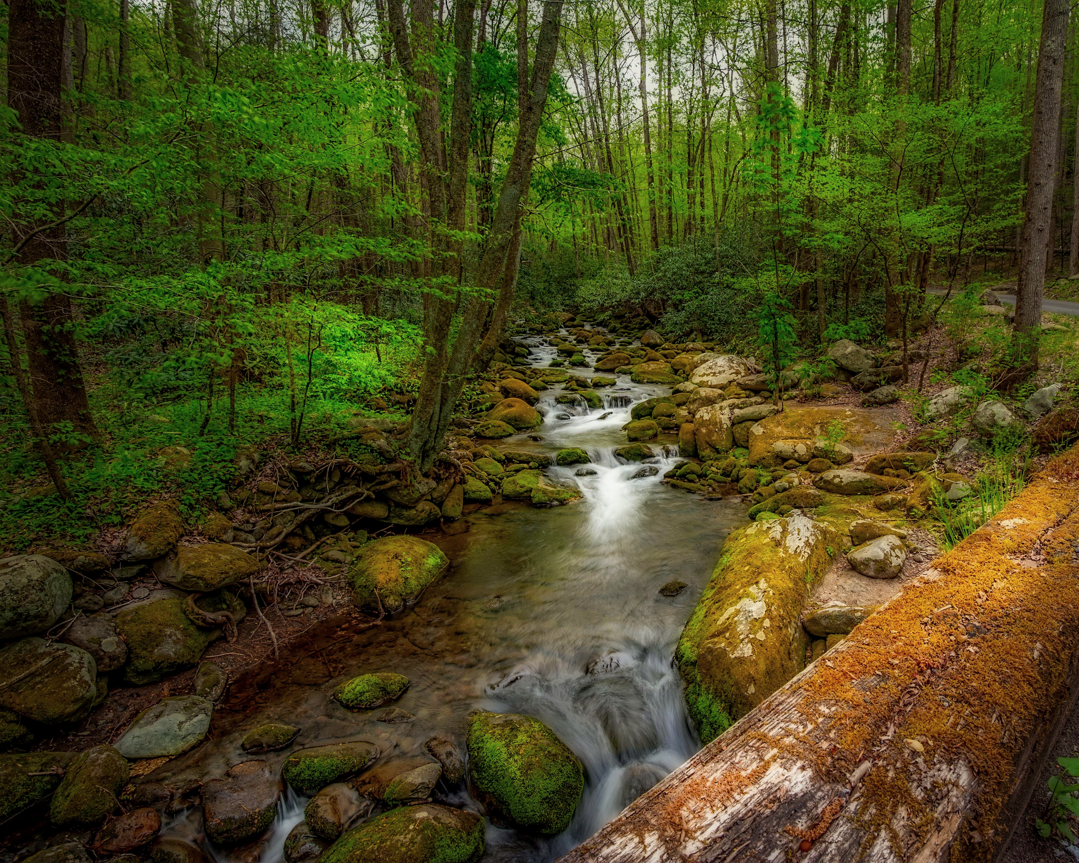 Обои Great Smoky Mountains National Park камни мох на рабочий стол