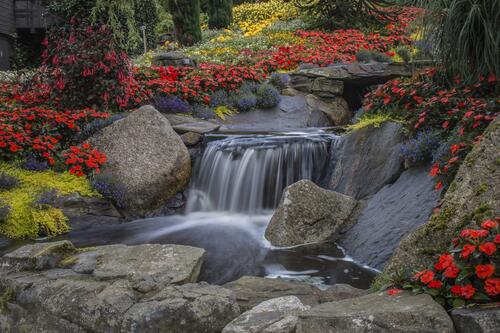 Summer waterfall with flowers