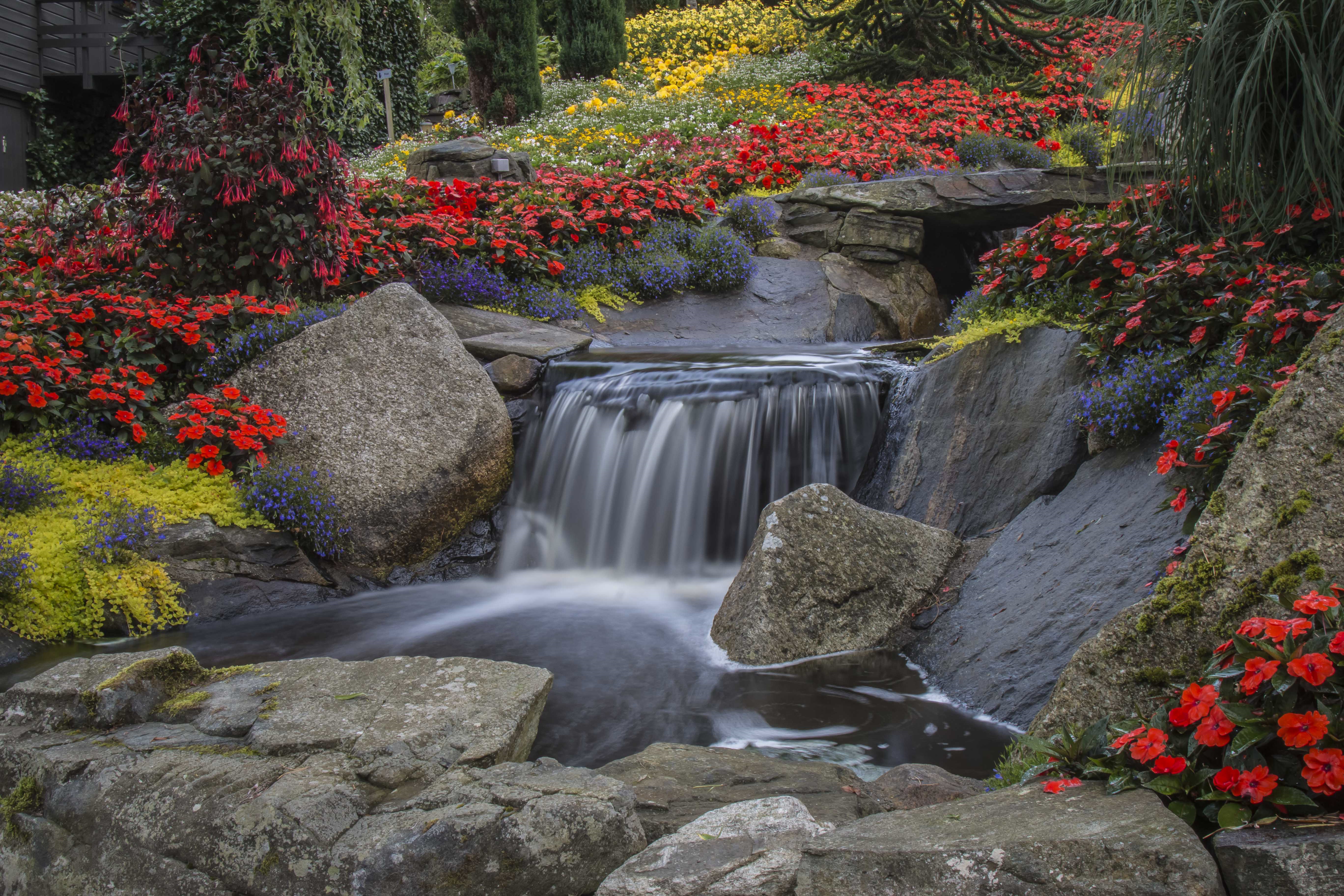 免费照片夏天的瀑布与花