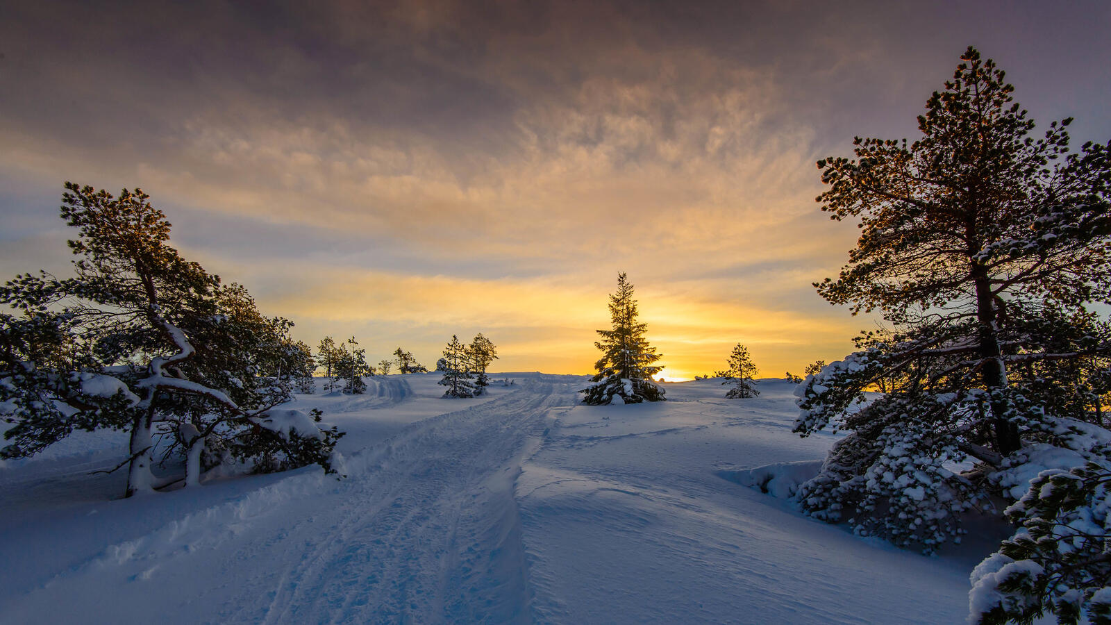 Free photo Screensaver sunset, winter, snow desktop free