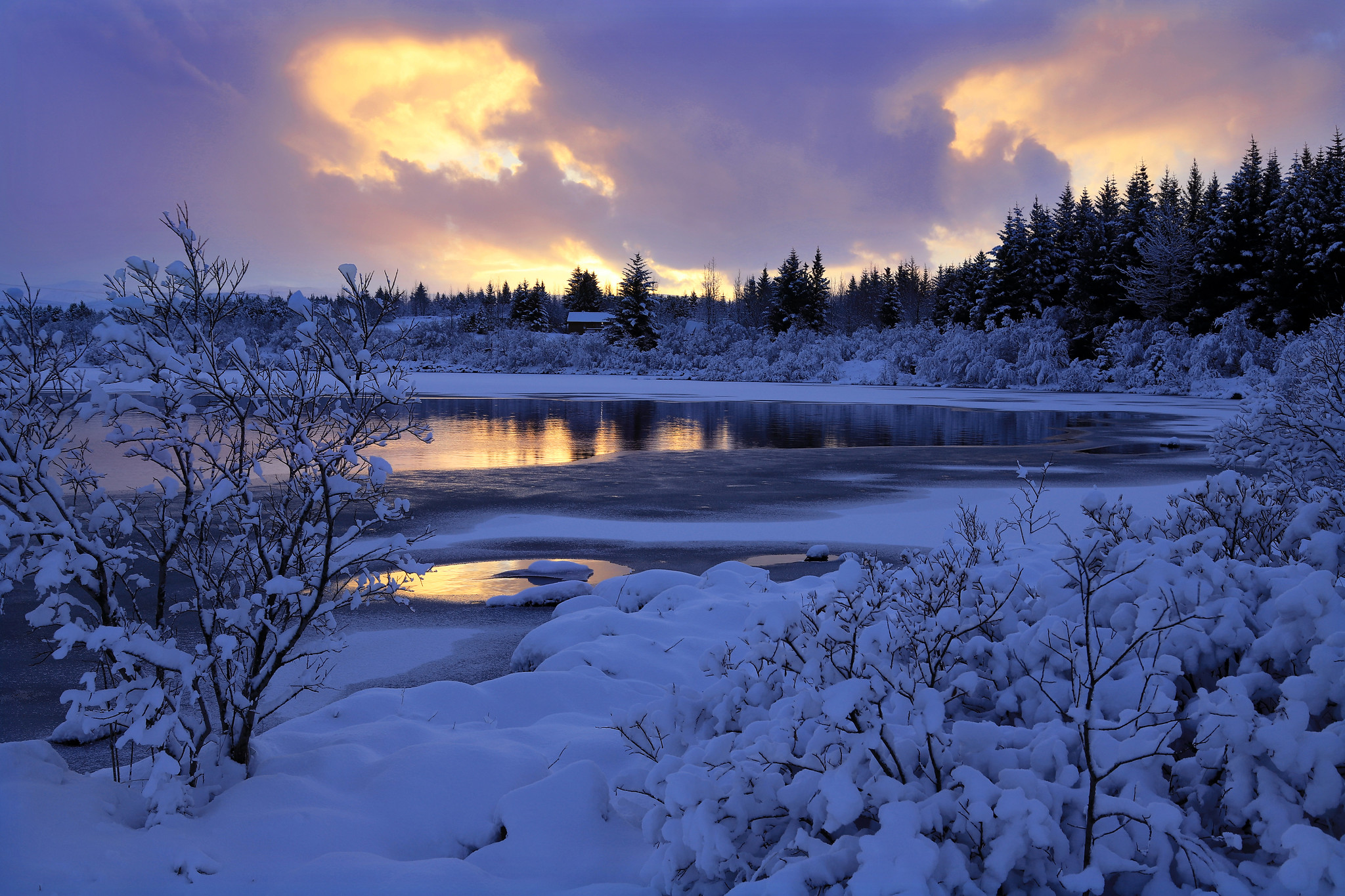 Photo free landscape, frozen lake, forest