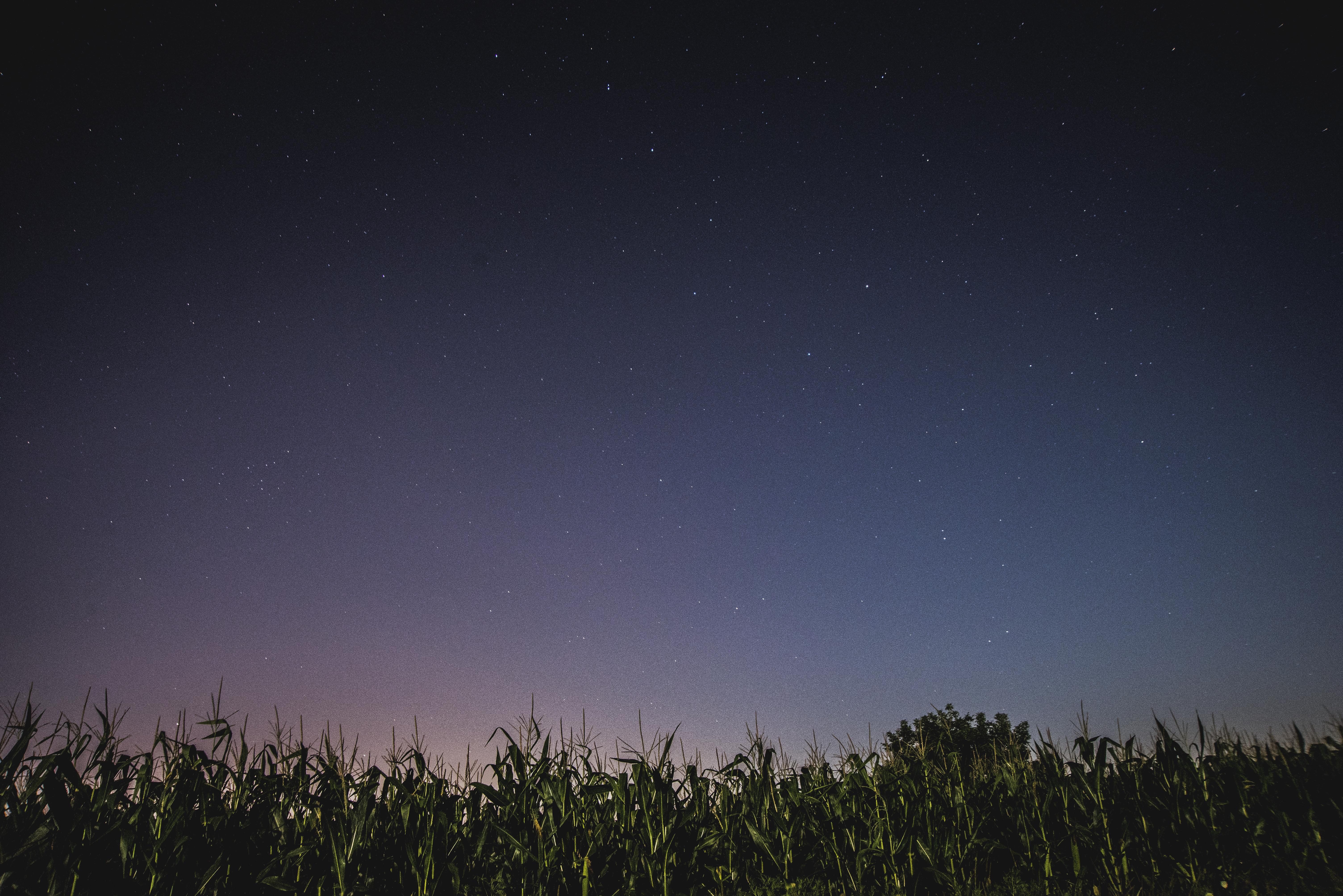Фото бесплатно природа, обои, ночное небо