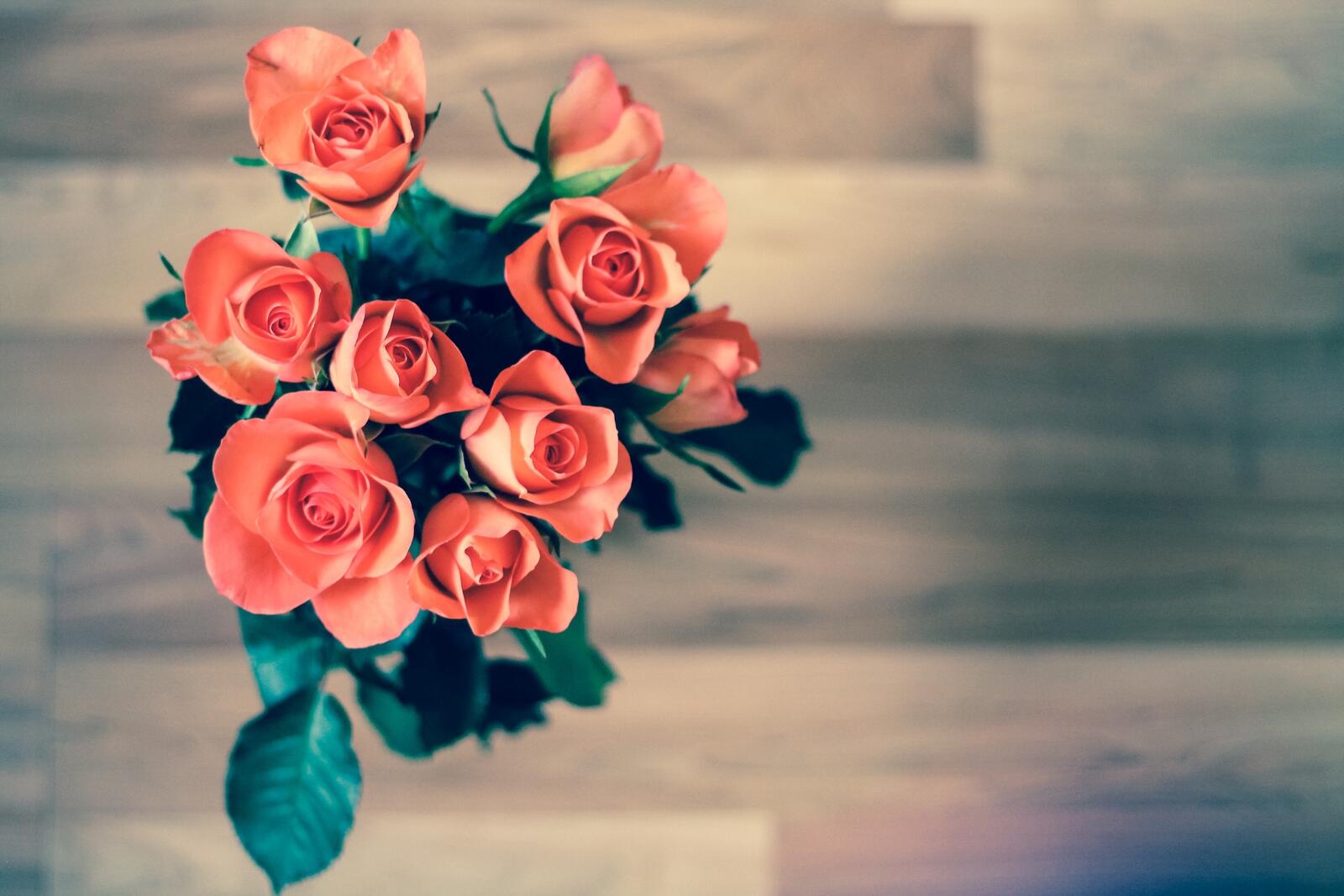 Free photo Bouquet of scarlet roses
