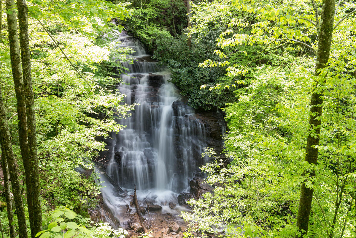 Beautiful screensaver waterfall, nature