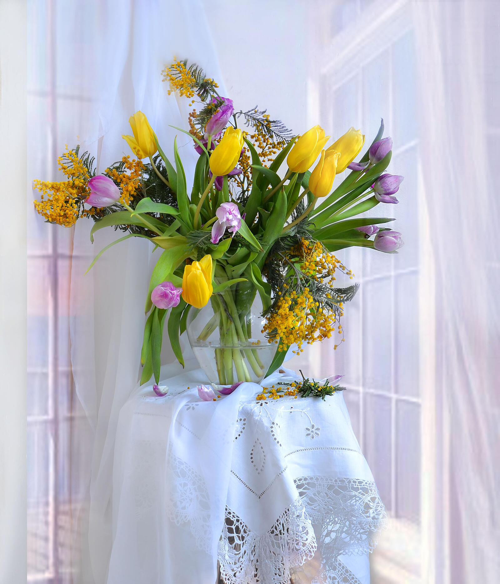 Обои тюльпаны цветы мимоза на рабочий стол