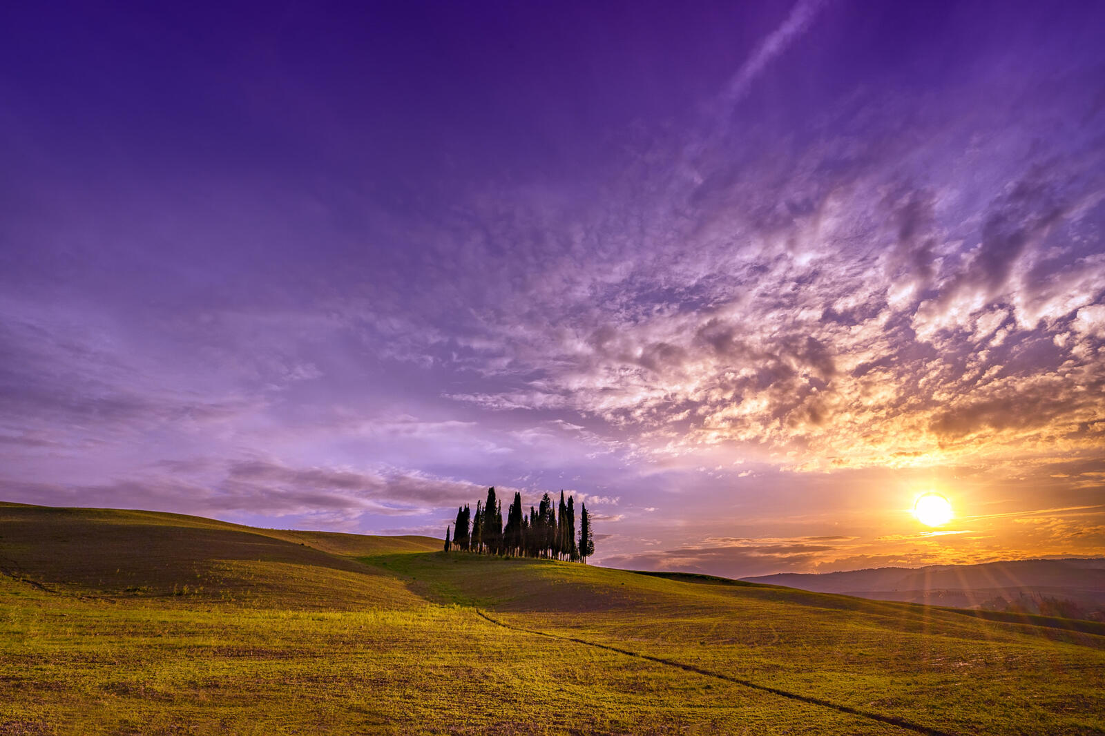 Wallpapers Tuscany Italy field on the desktop
