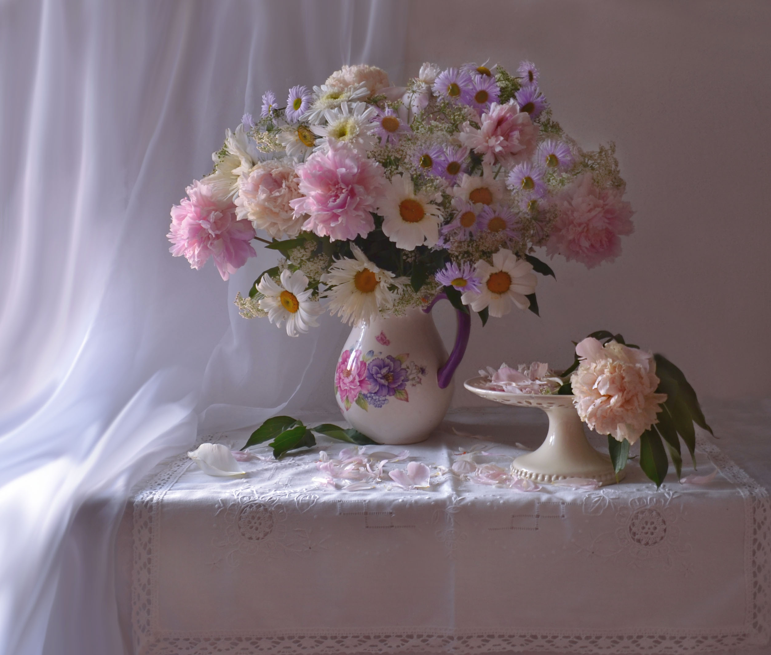 桌面上的壁纸照片 雏菊 鲜花