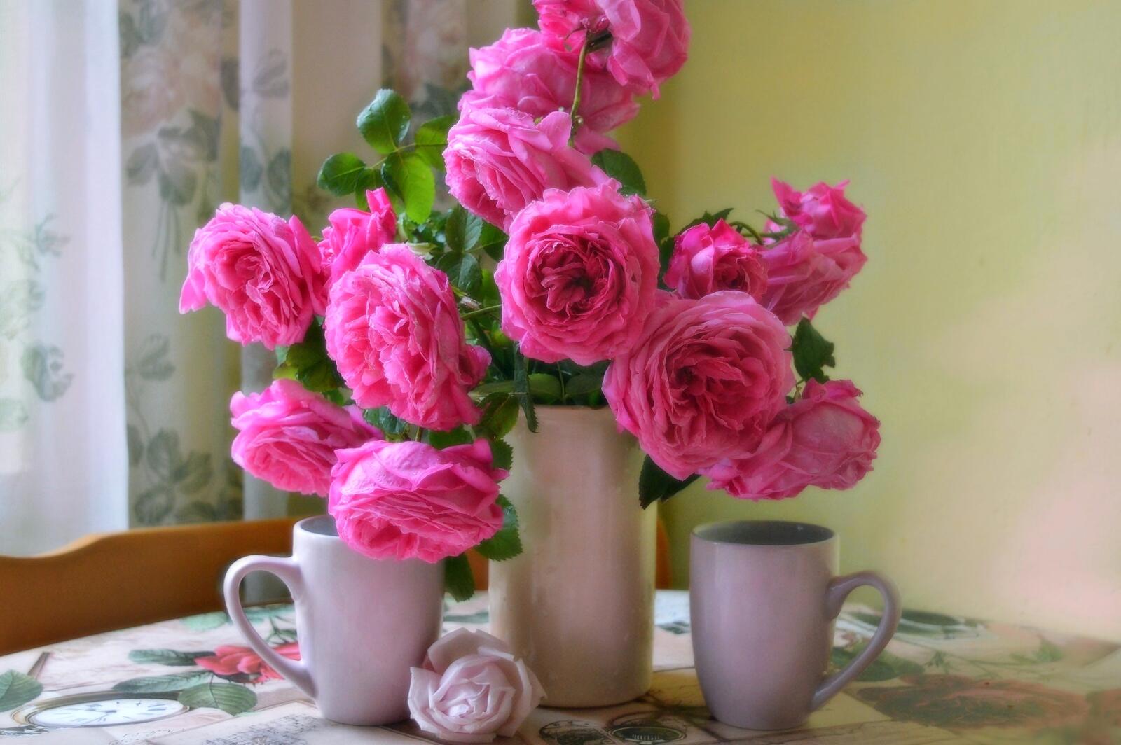 Wallpapers roses flora mug on the desktop