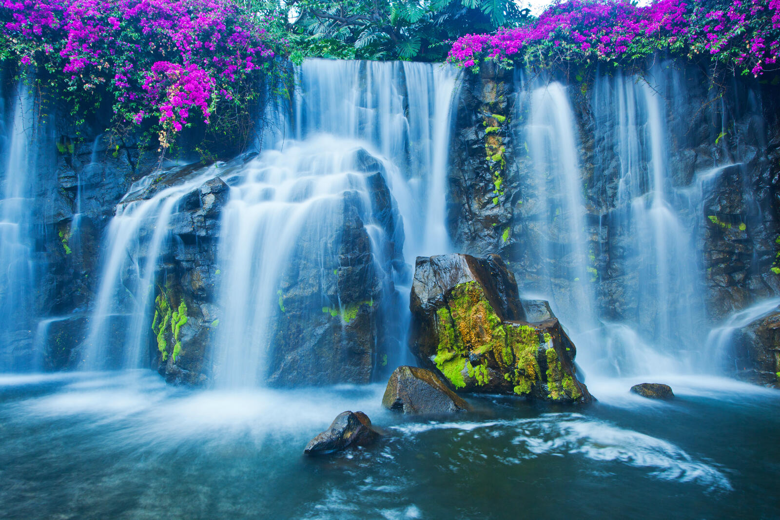 Wallpapers landscapes flowers stream on the desktop