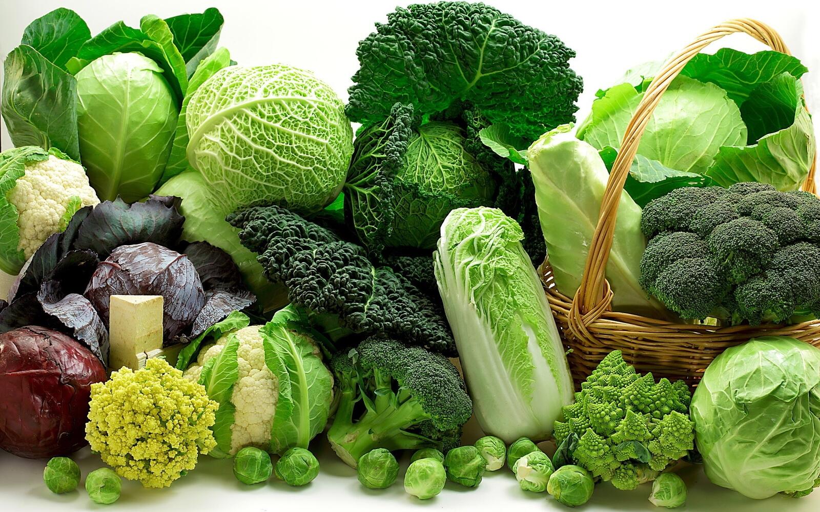 Wallpapers vegetables cabbage broccoli on the desktop