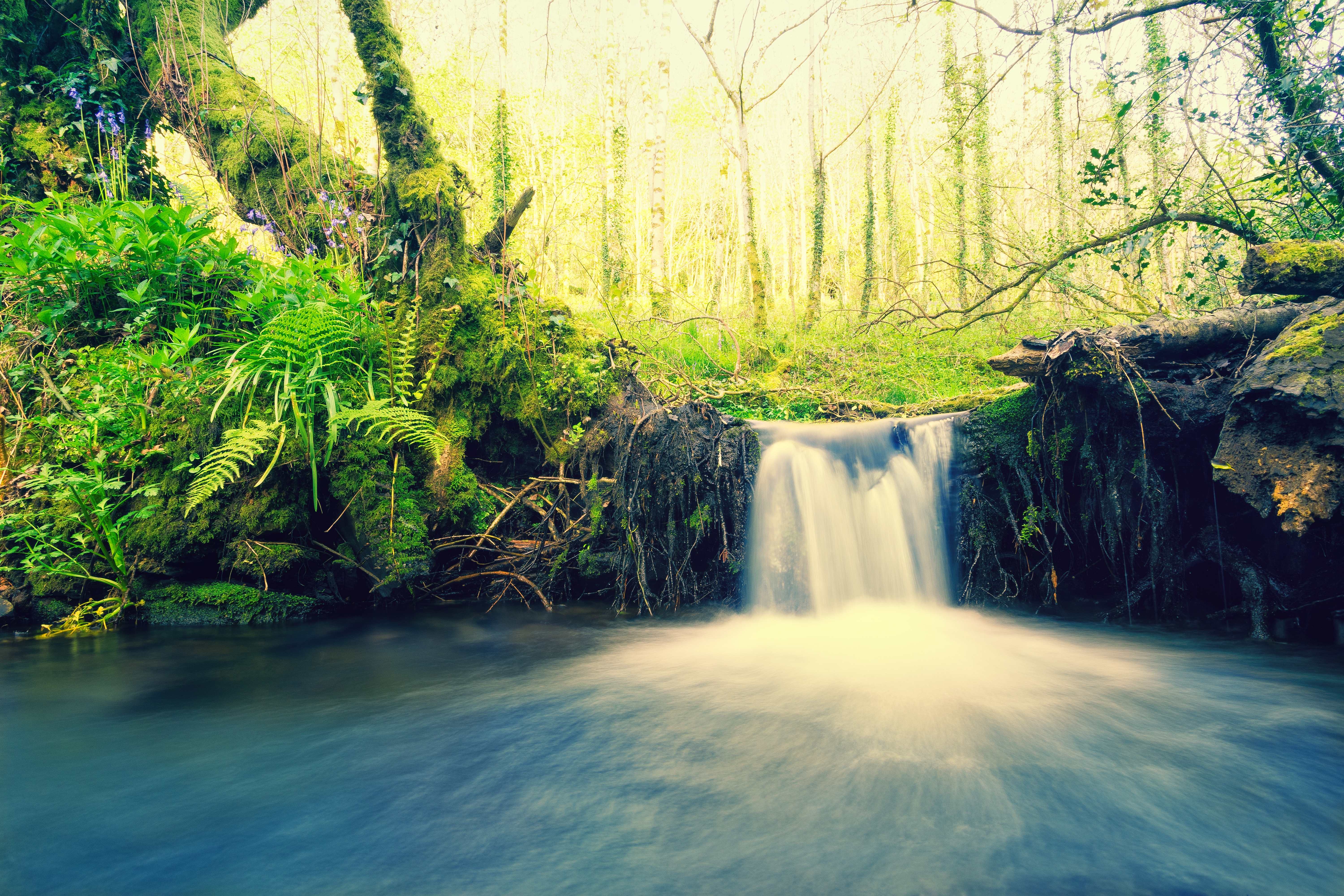 Бесплатное фото Водопад - лес
