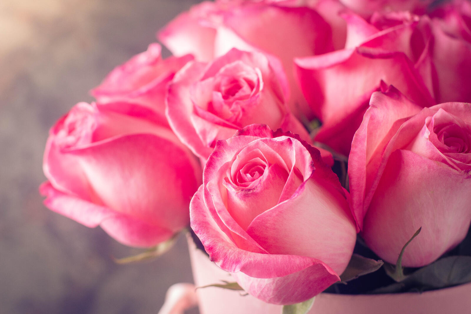 Обои розовый букет розы цветы на рабочий стол