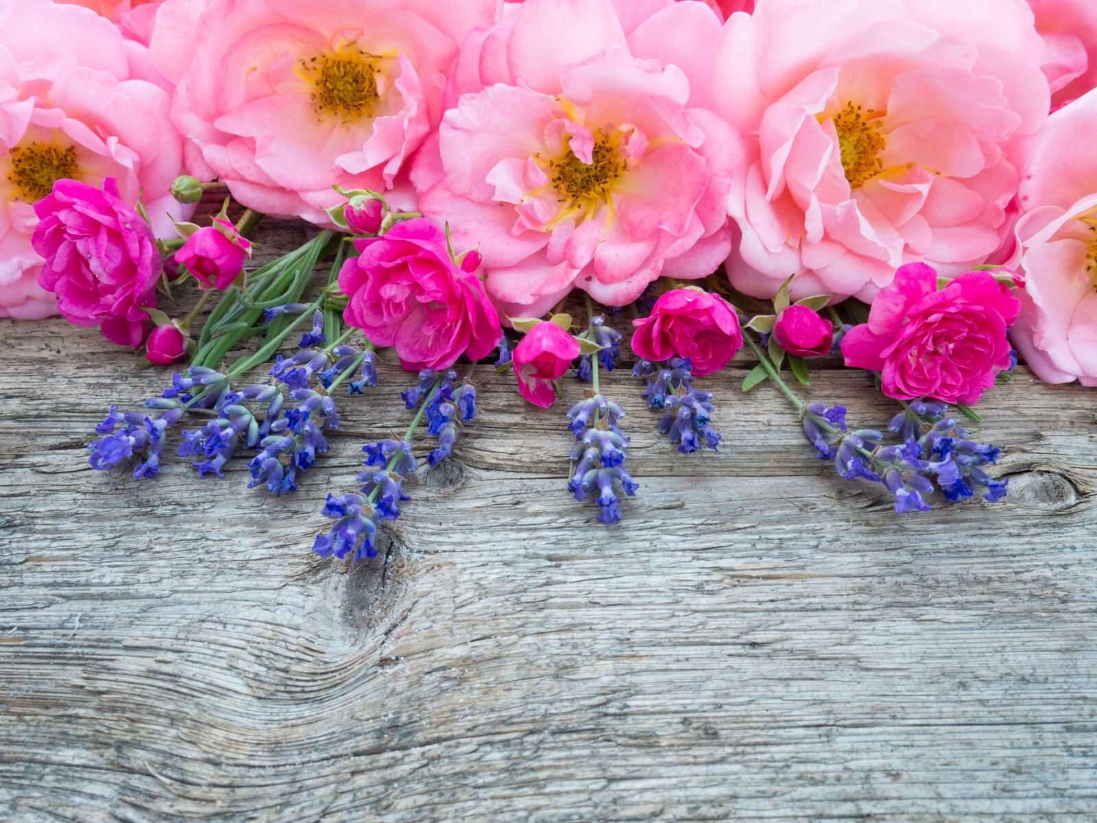免费照片在木桌上的花卉品种