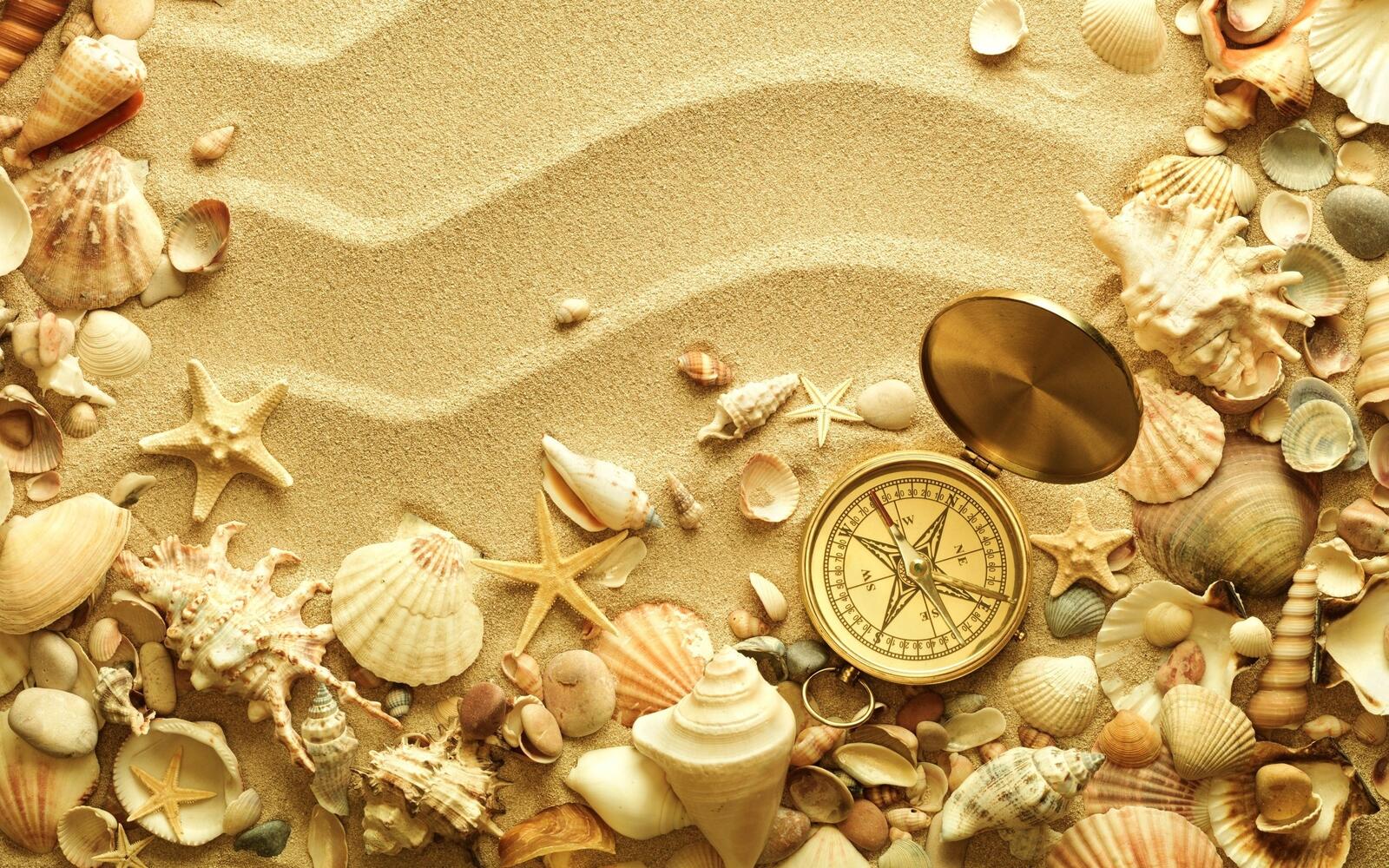 Free photo Compass and seashells on the sand