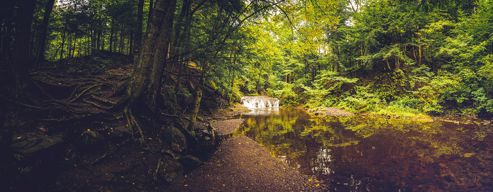 Бесплатное фото Небольшой водопад в лесу