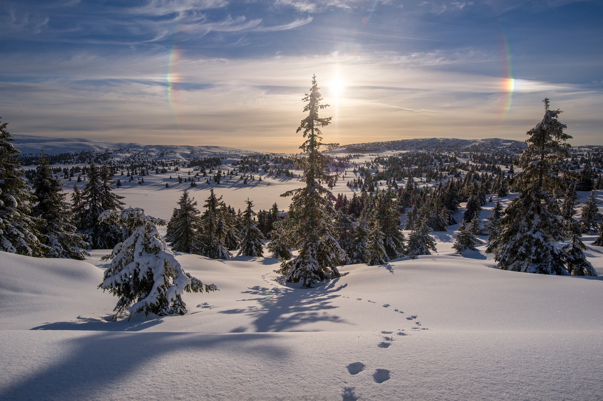 Wallpapers snowdrifts landscape Norway on the desktop