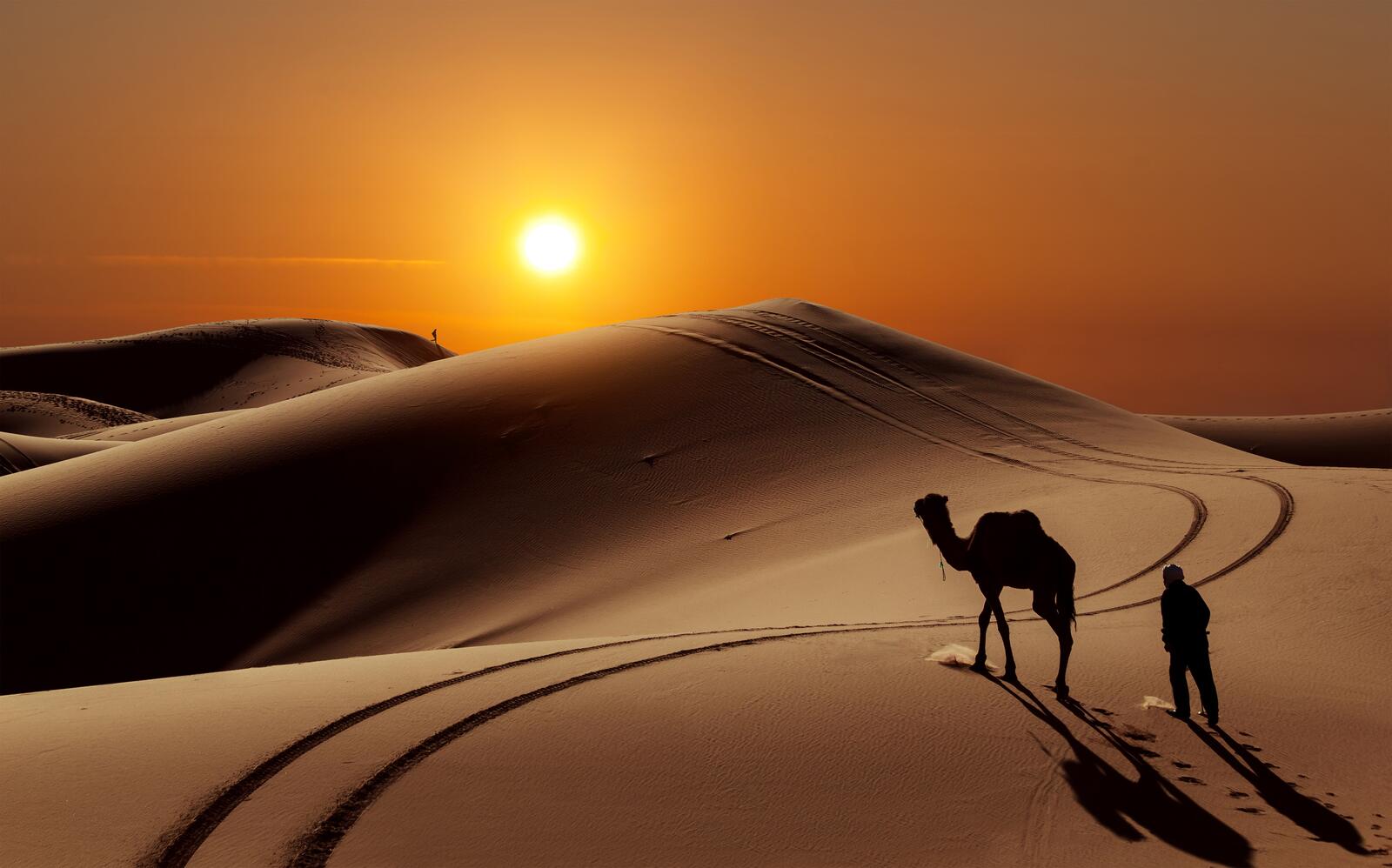 Wallpapers camel people Sahara on the desktop