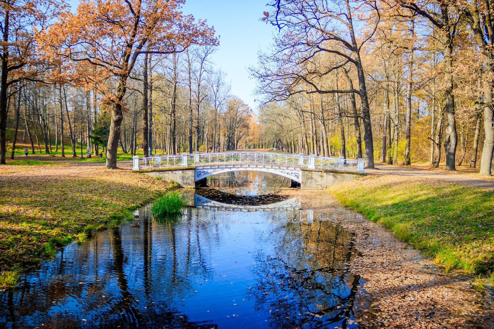 免费照片秋天的公园里的一座桥