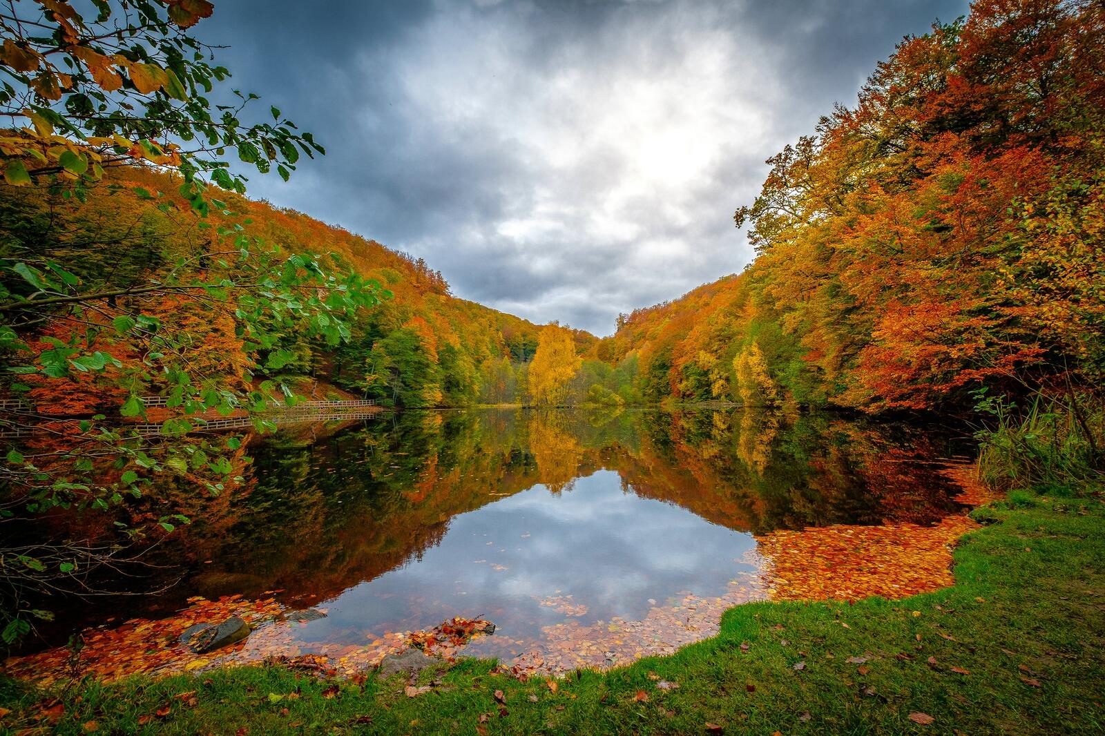 Обои Осеннее озеро осень краски осени на рабочий стол