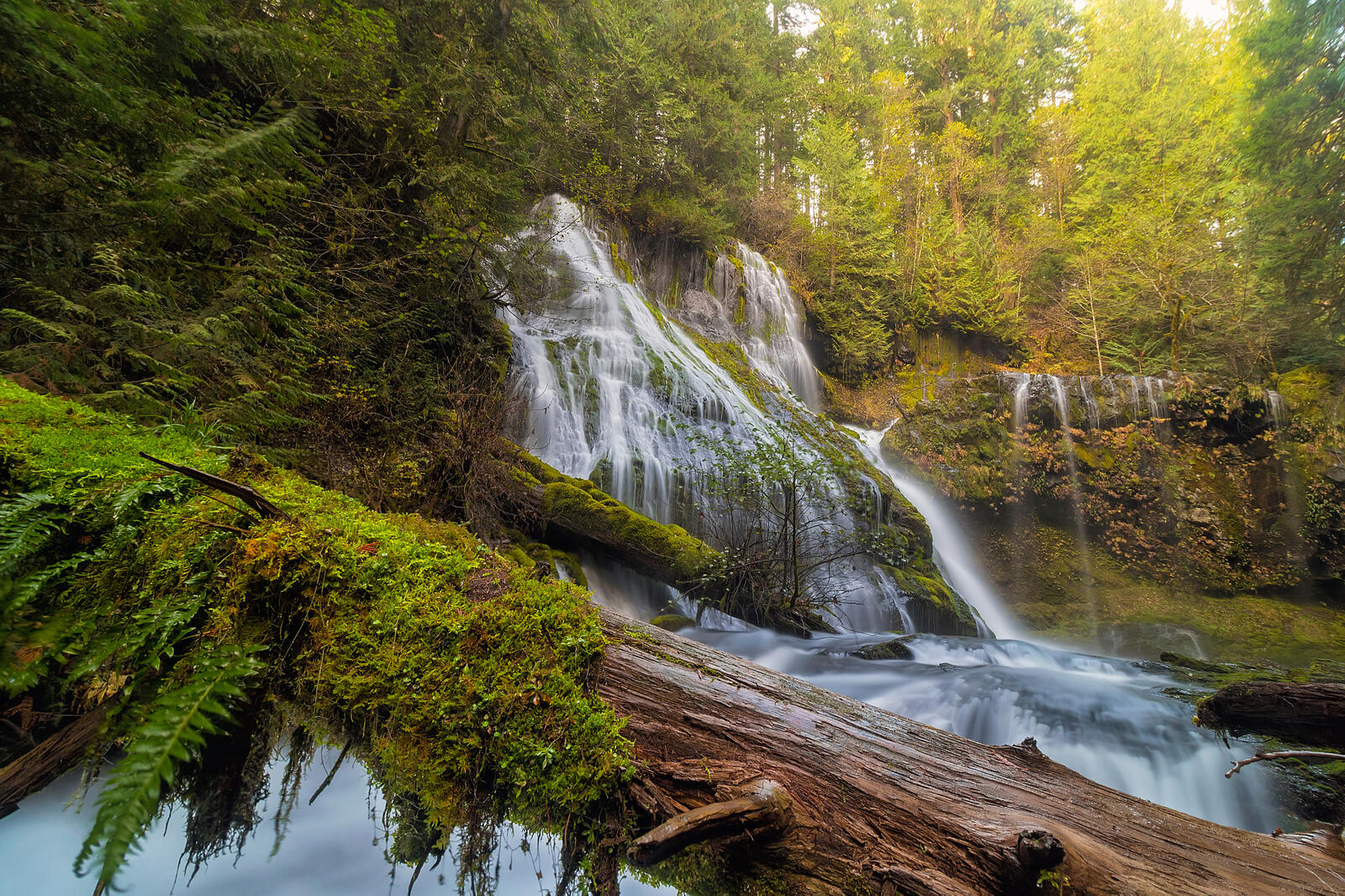 Обои Водопад Пантера-Крик в Национальном лесу Гиффорд Пинчот штат Вашингтон водопад на рабочий стол