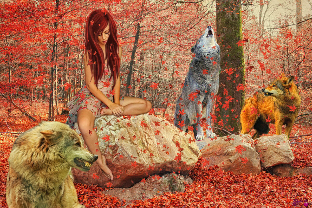 girl with wolves