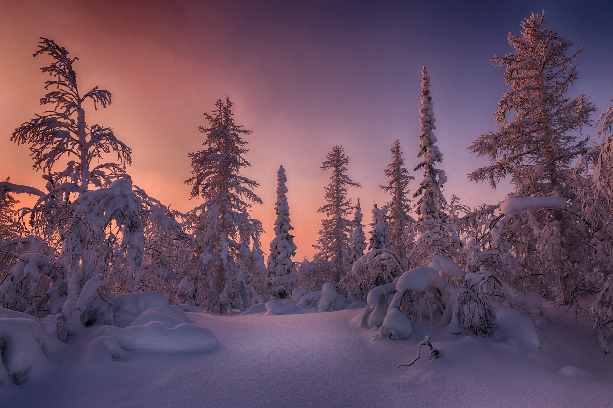 Зимняя тундра · бесплатное фото