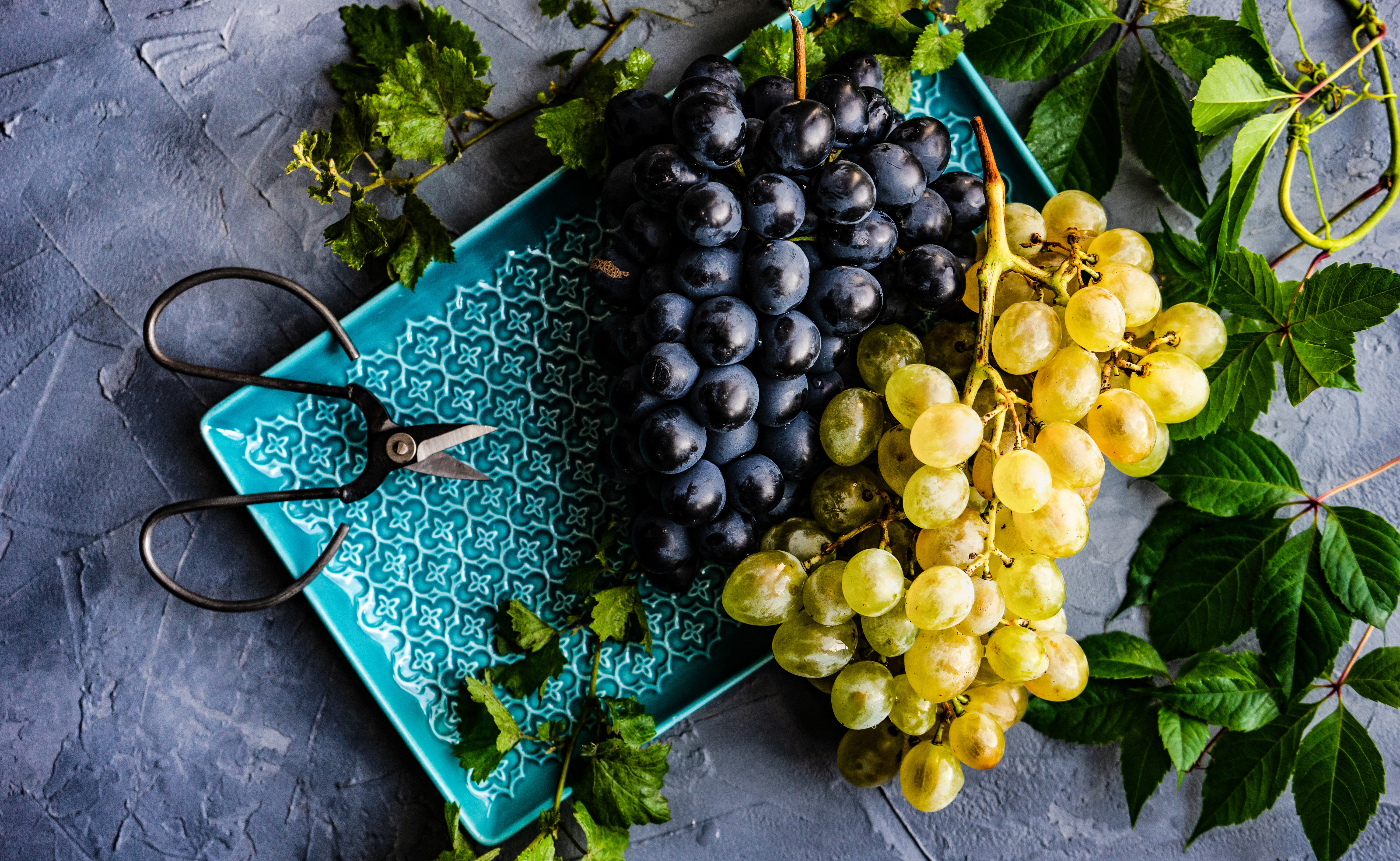 Free photo Bunches of grapes and scissors