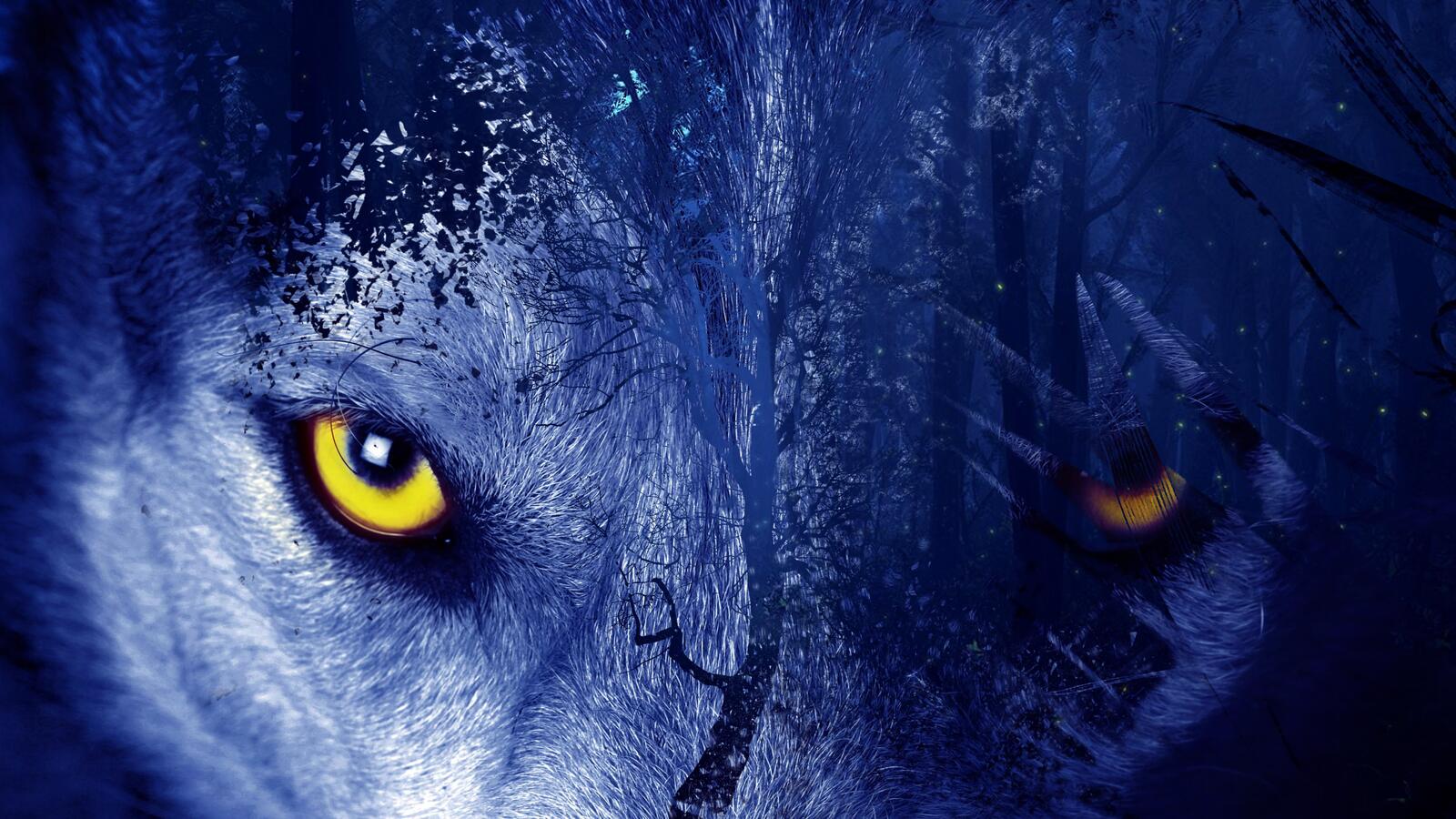 Wallpapers wolf`s eyes forest rendering on the desktop