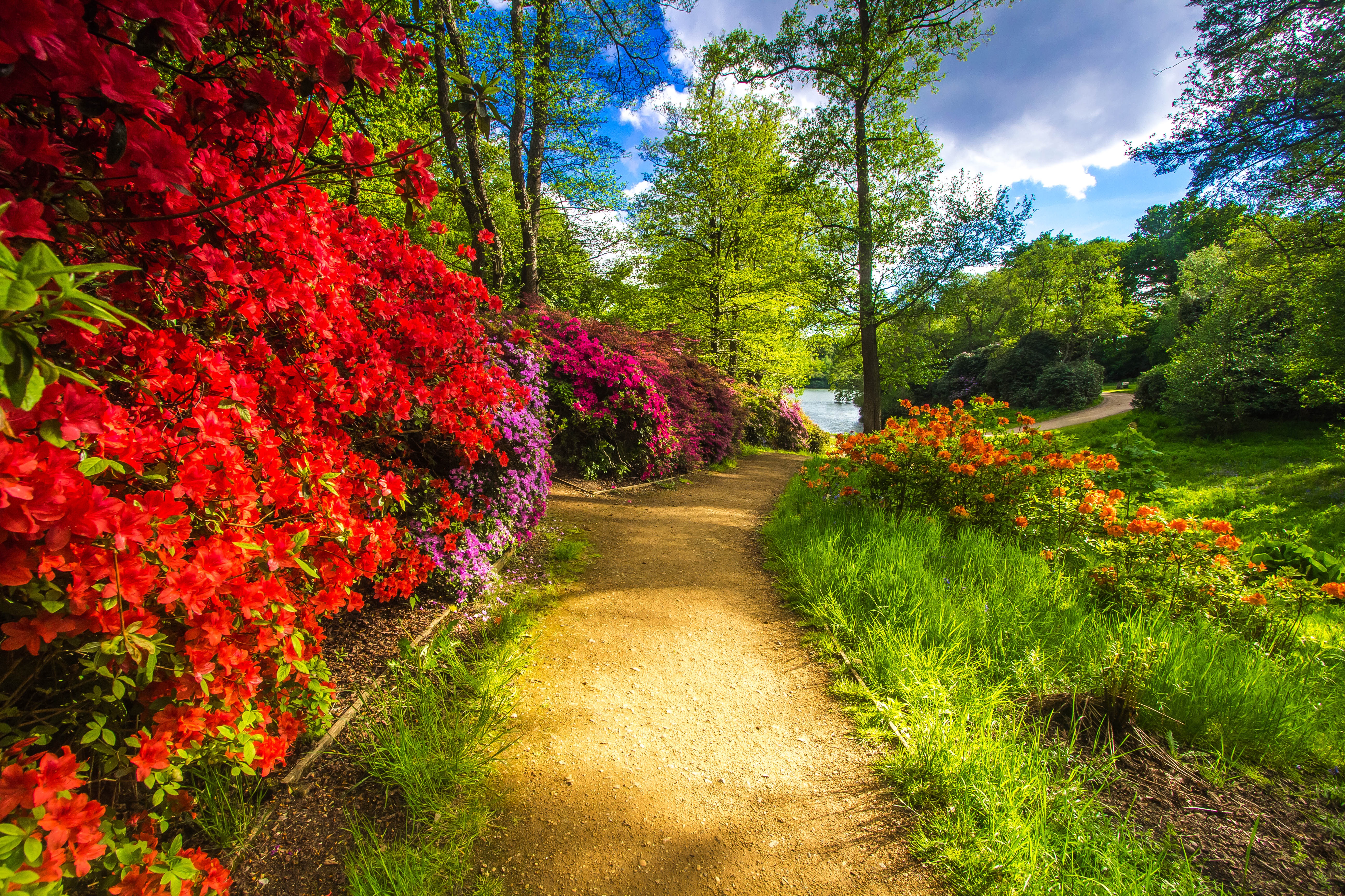 Яркие цвета природы. Яркая природа. Цветы в саду. Природа парк. Красивый сад.