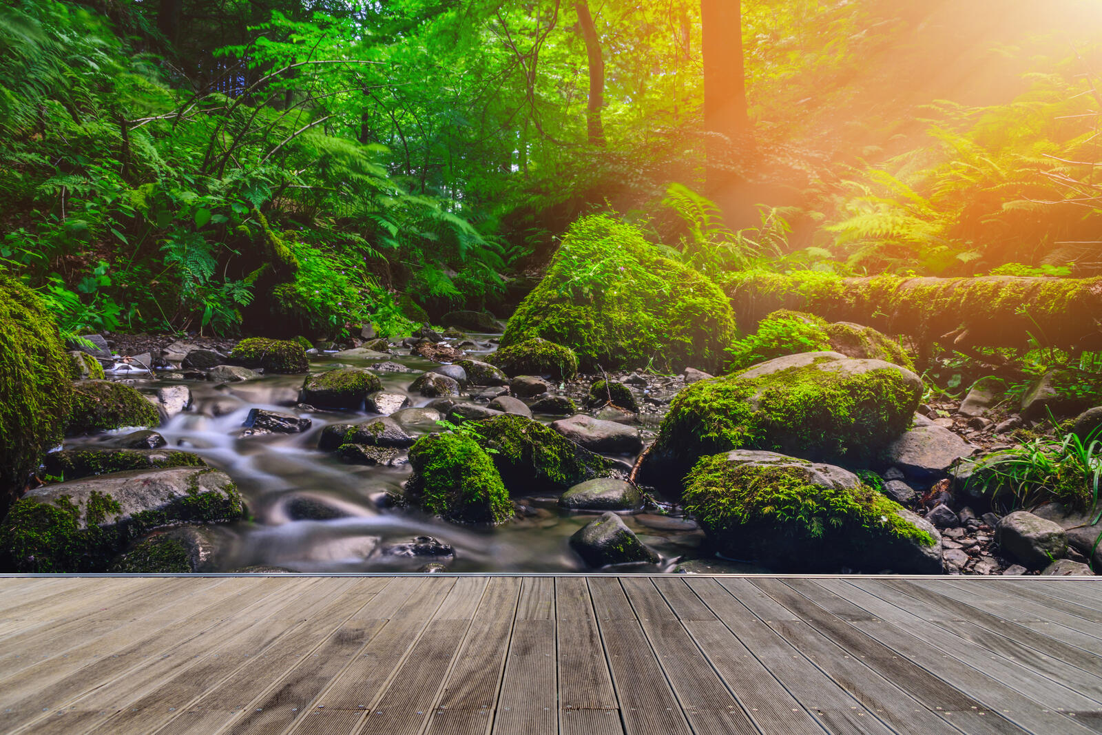 Wallpapers Forest stream wooden path forest on the desktop