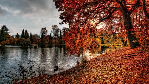Autumn river Bank