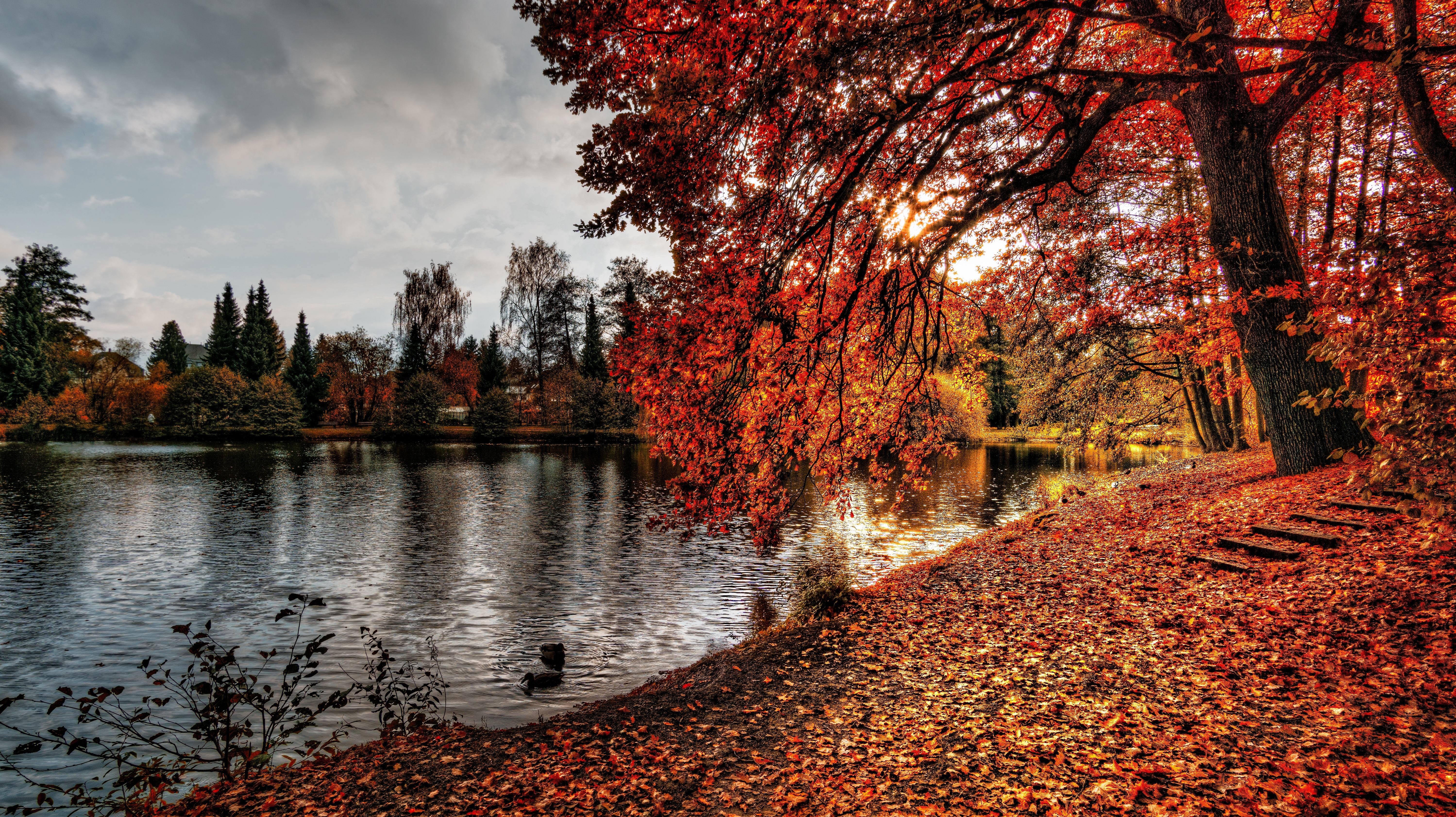 Осенний берег реки · бесплатное фото