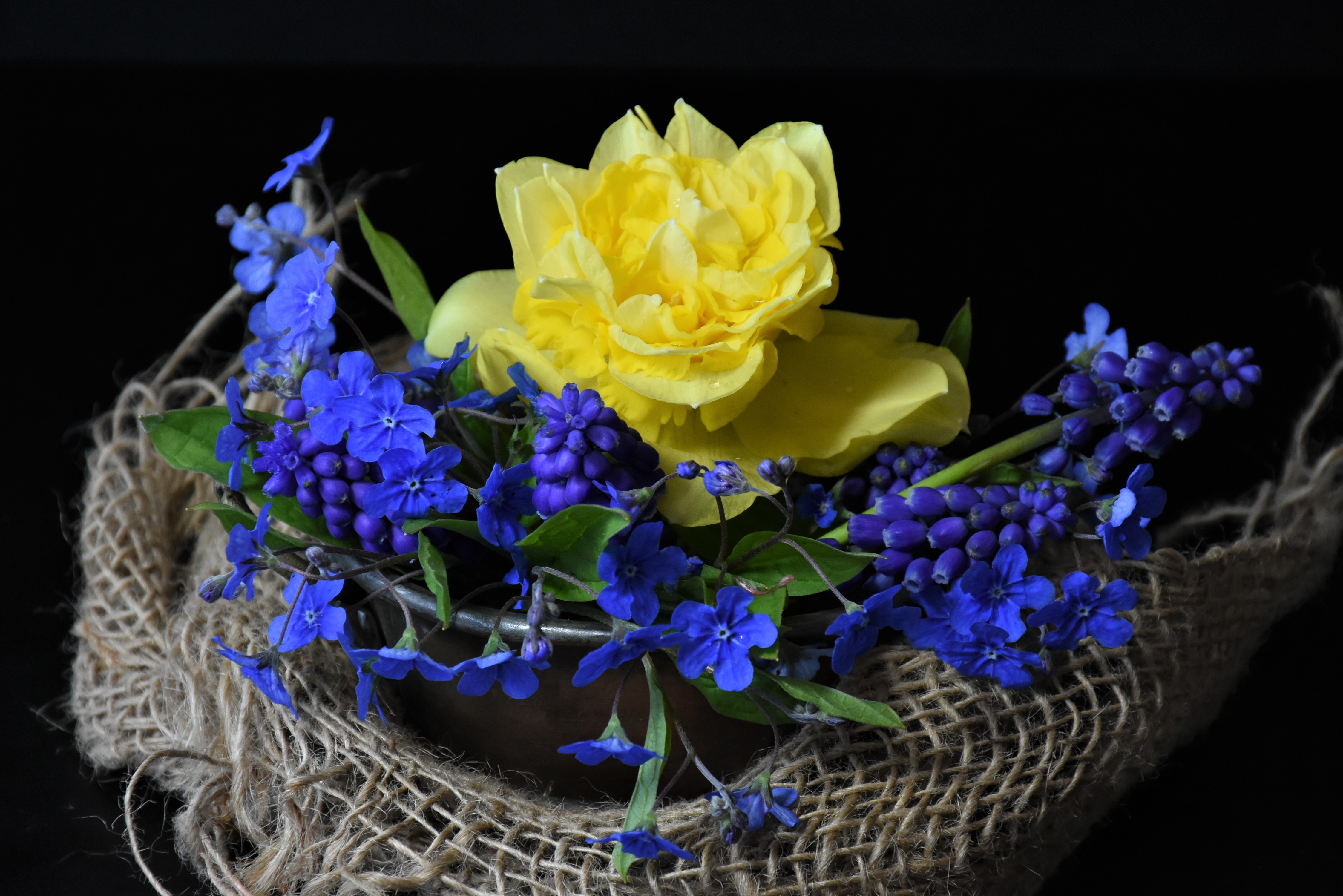 Wallpapers spring flowers background image still life on the desktop
