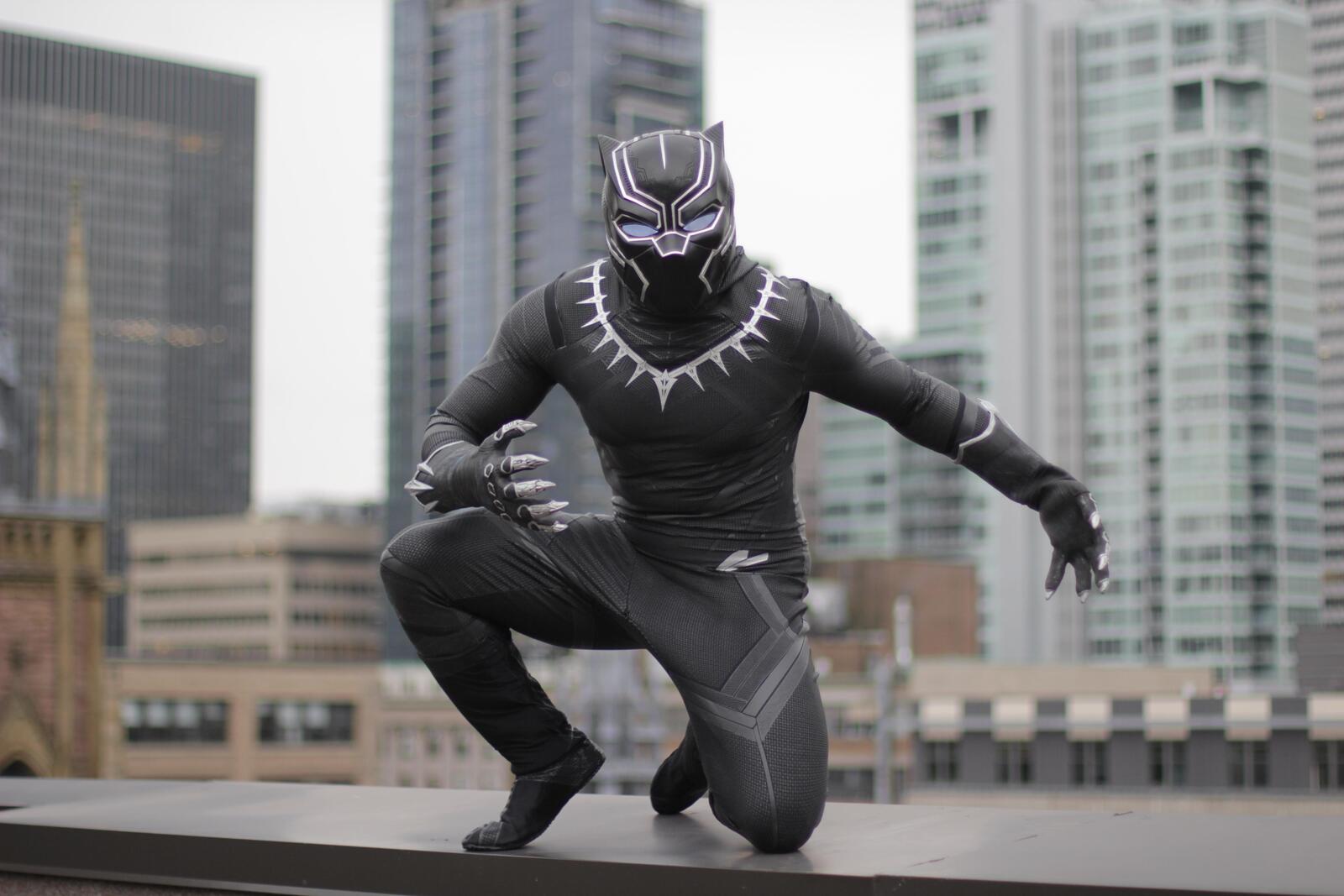 Wallpapers black panther cosplay movies on the desktop