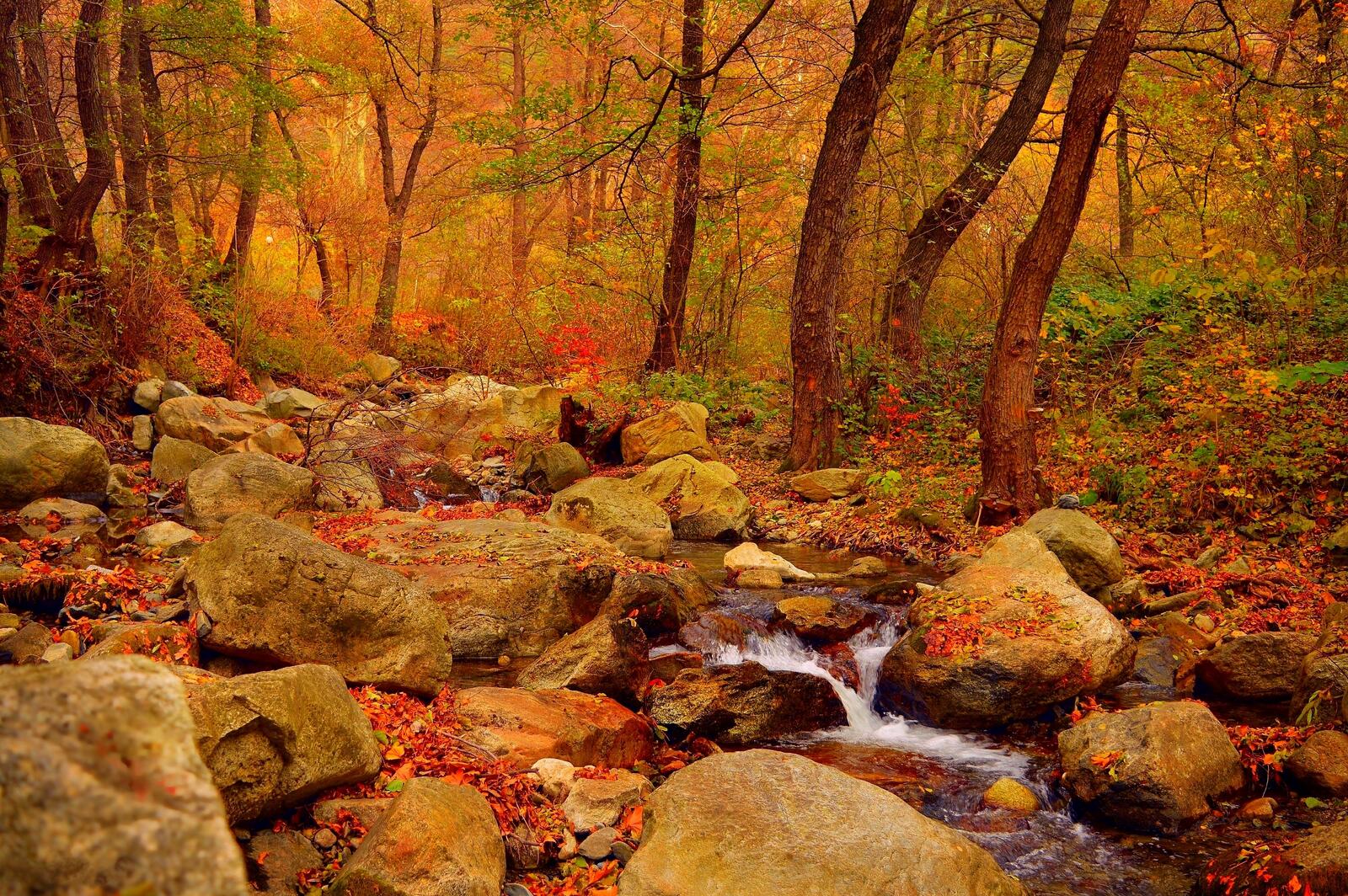 Wallpapers autumn waterfall autumn colors autumn trees on the desktop