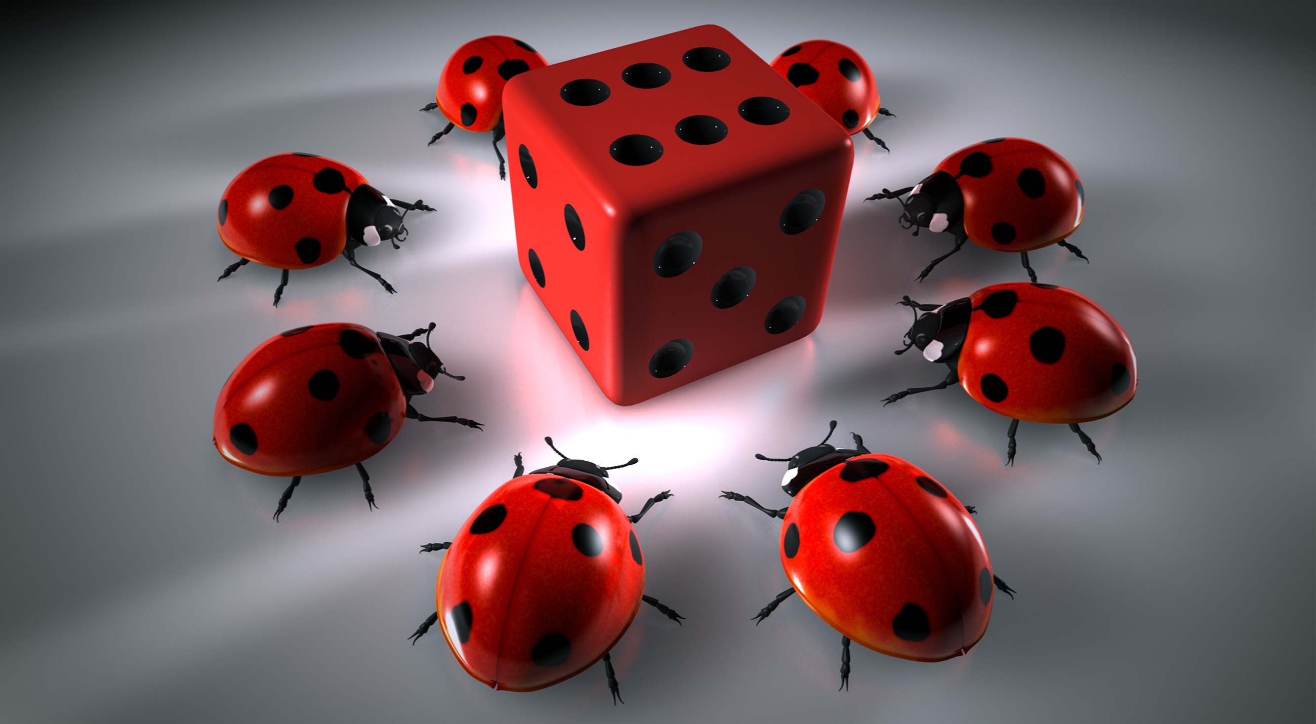 Playing ladybugs · free photo
