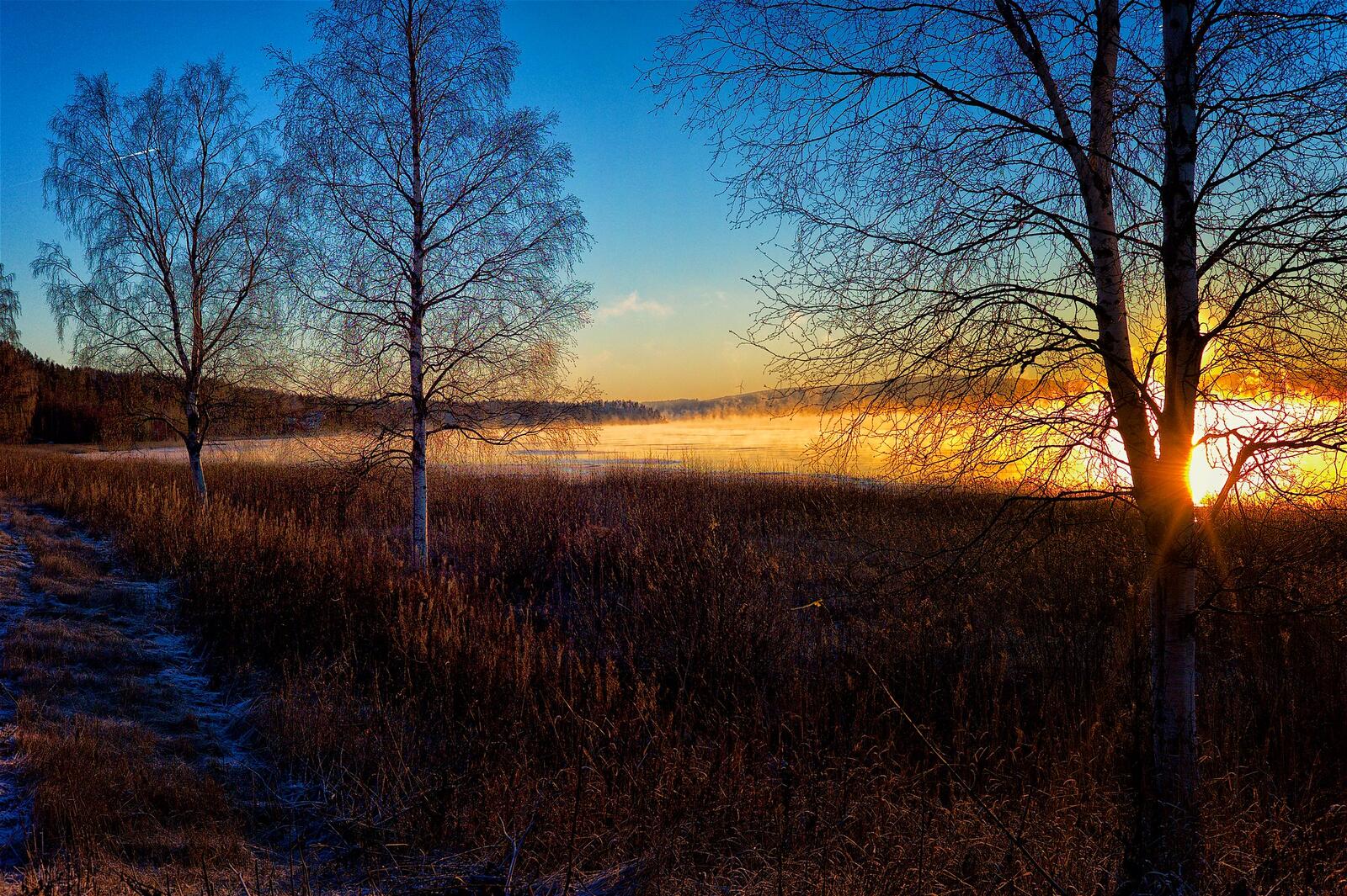 Wallpapers Sweden sunset nature landscape on the desktop