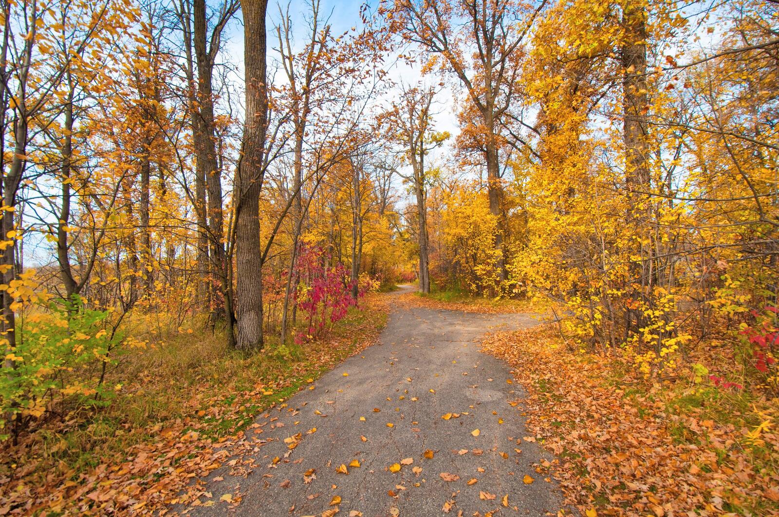Wallpapers autumn colors Pathway trail on the desktop