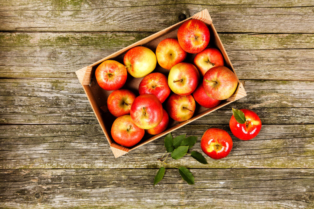 Apples in a box