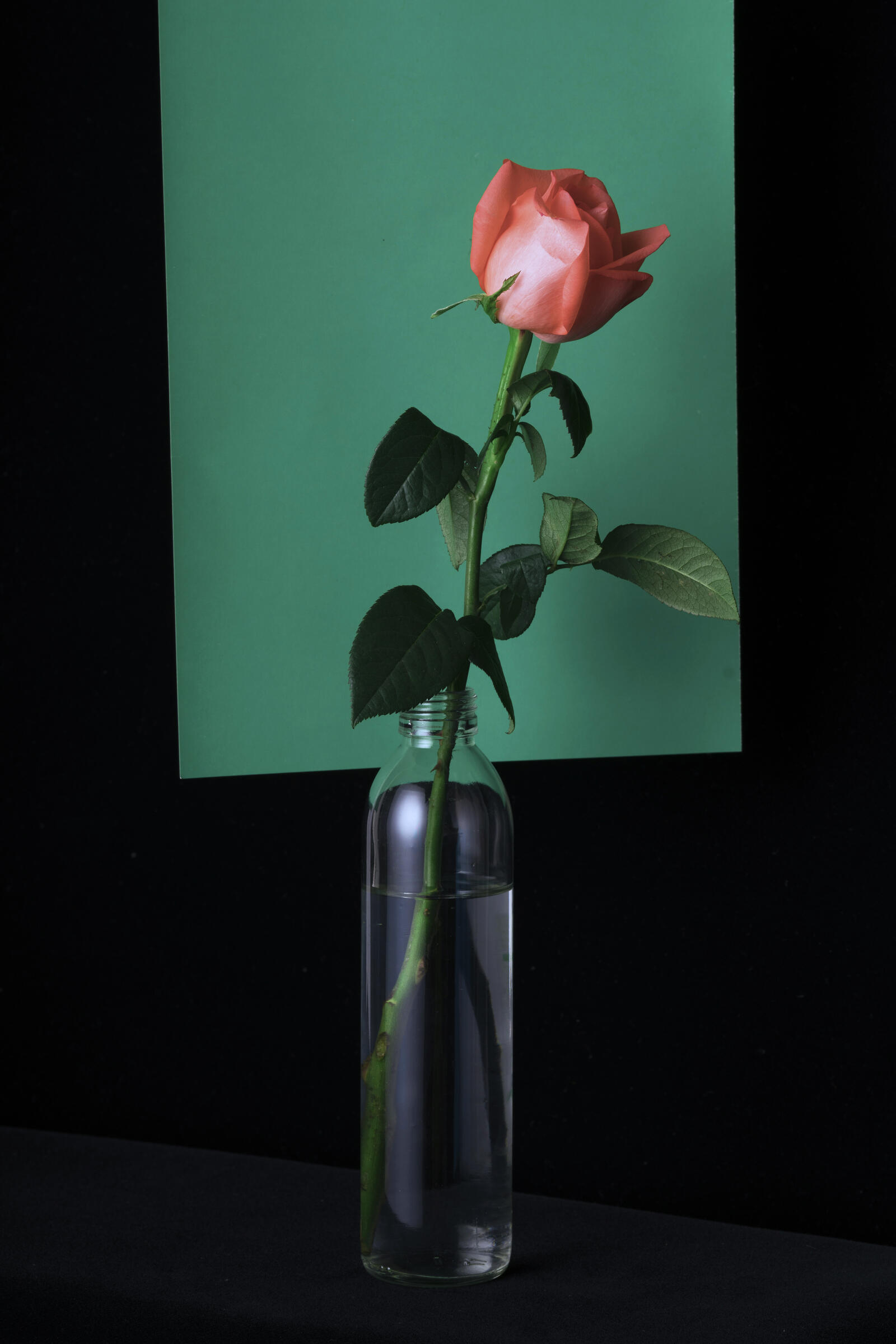 Обои ваза прозрачный цветок на рабочий стол
